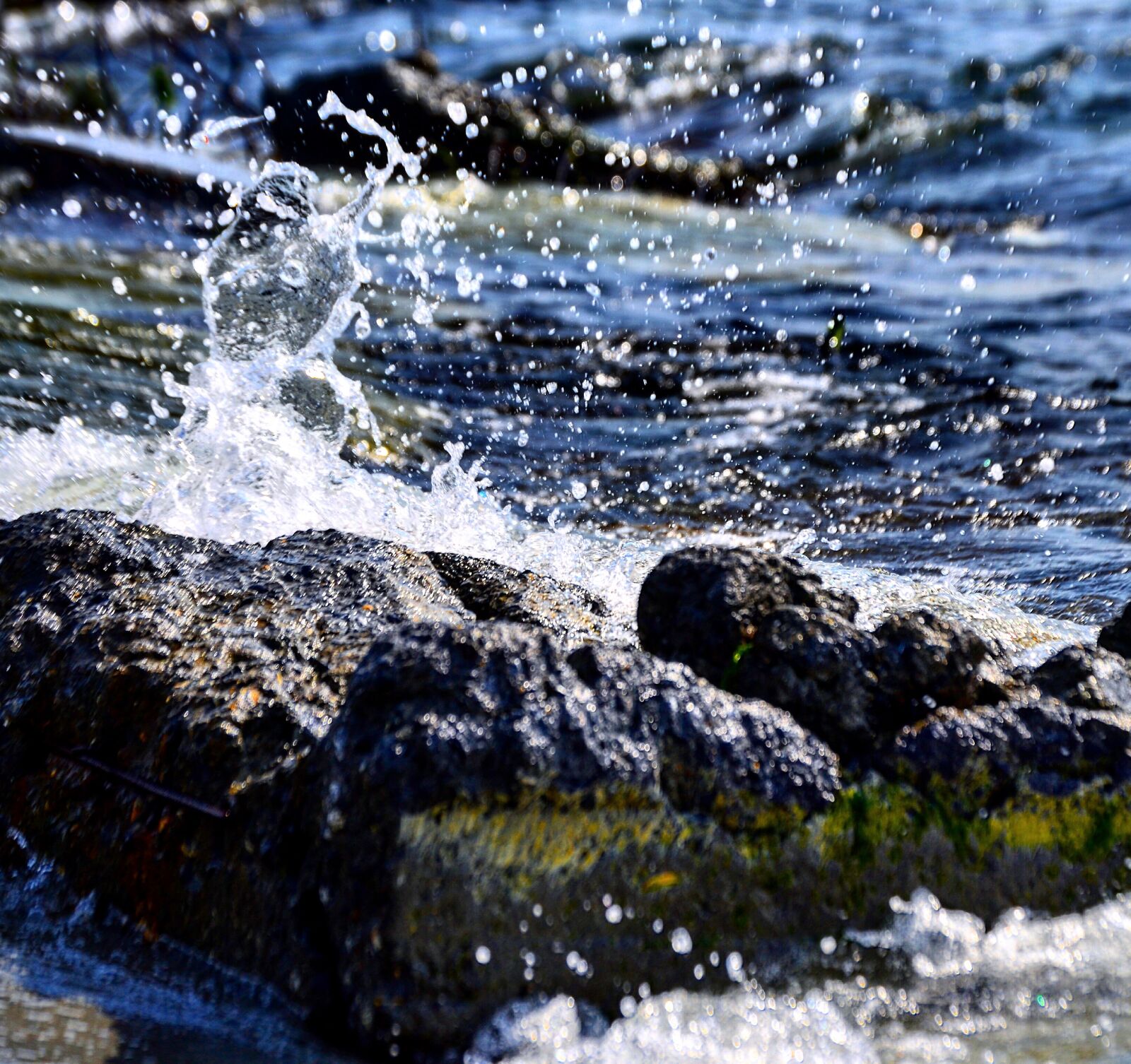 Nikon D3100 sample photo