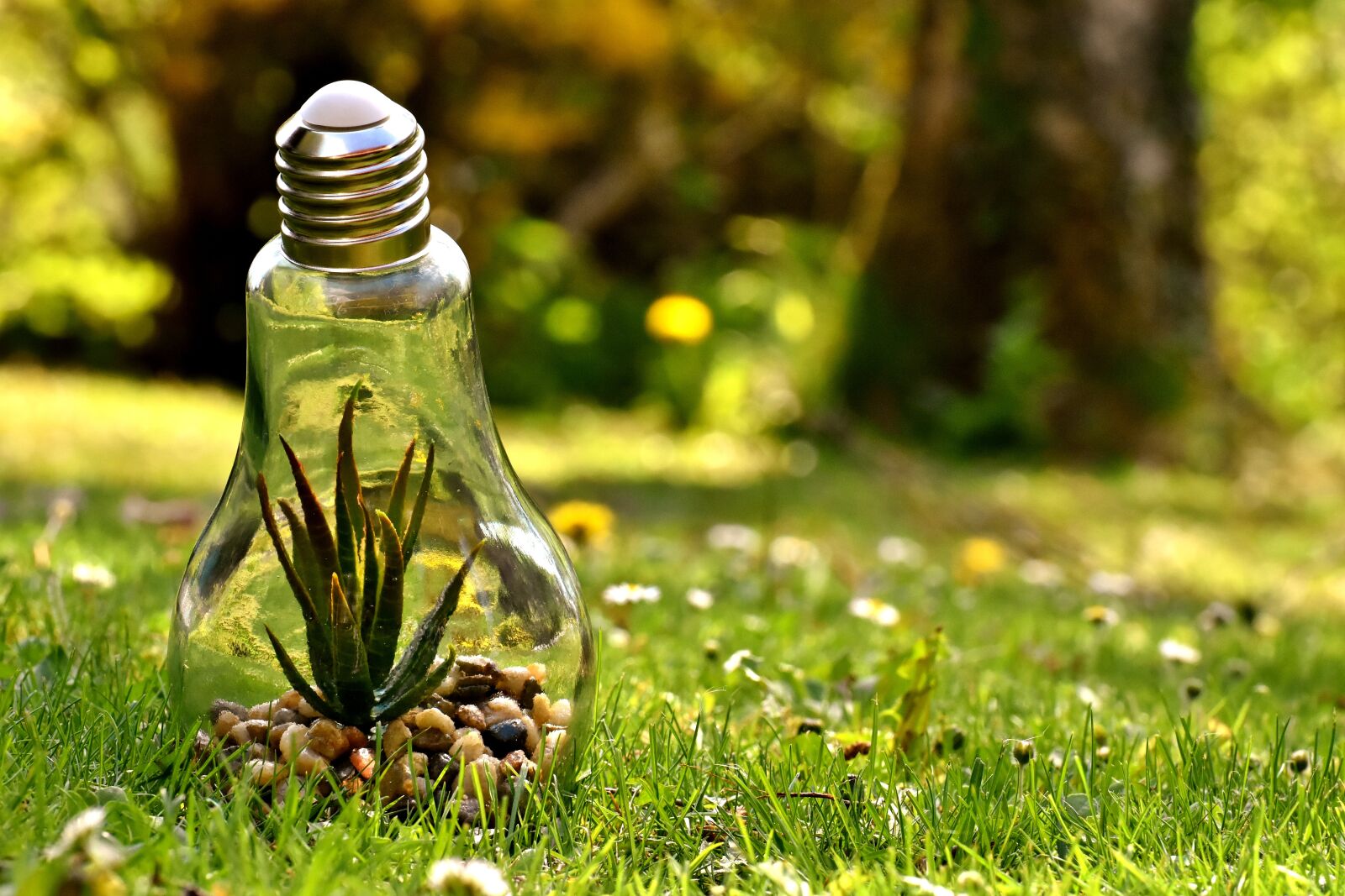 Nikon D7200 sample photo. Environmental protection, nature, light photography