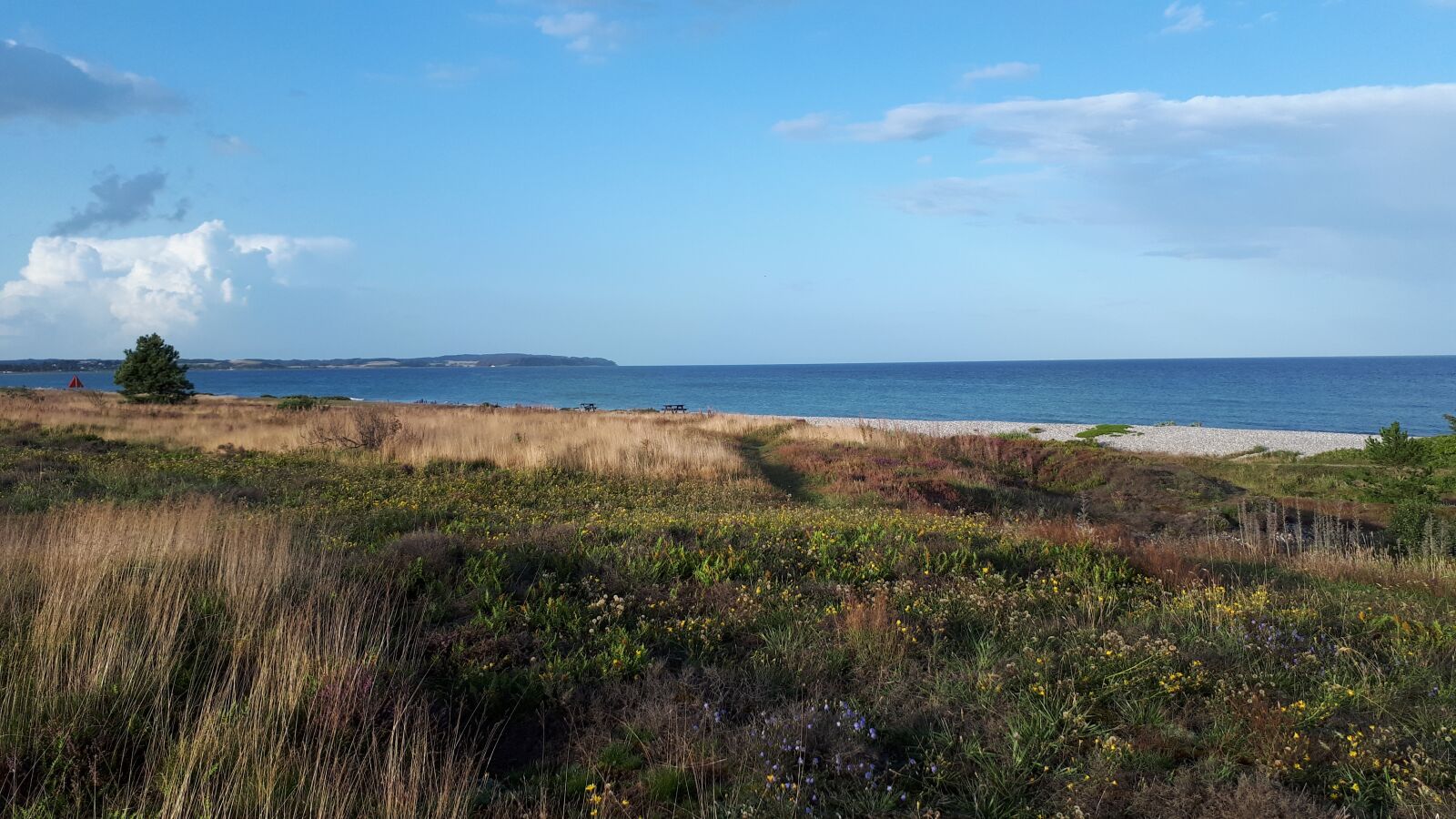 Samsung Galaxy A5(2017) sample photo. Sea, baltic sea, water photography