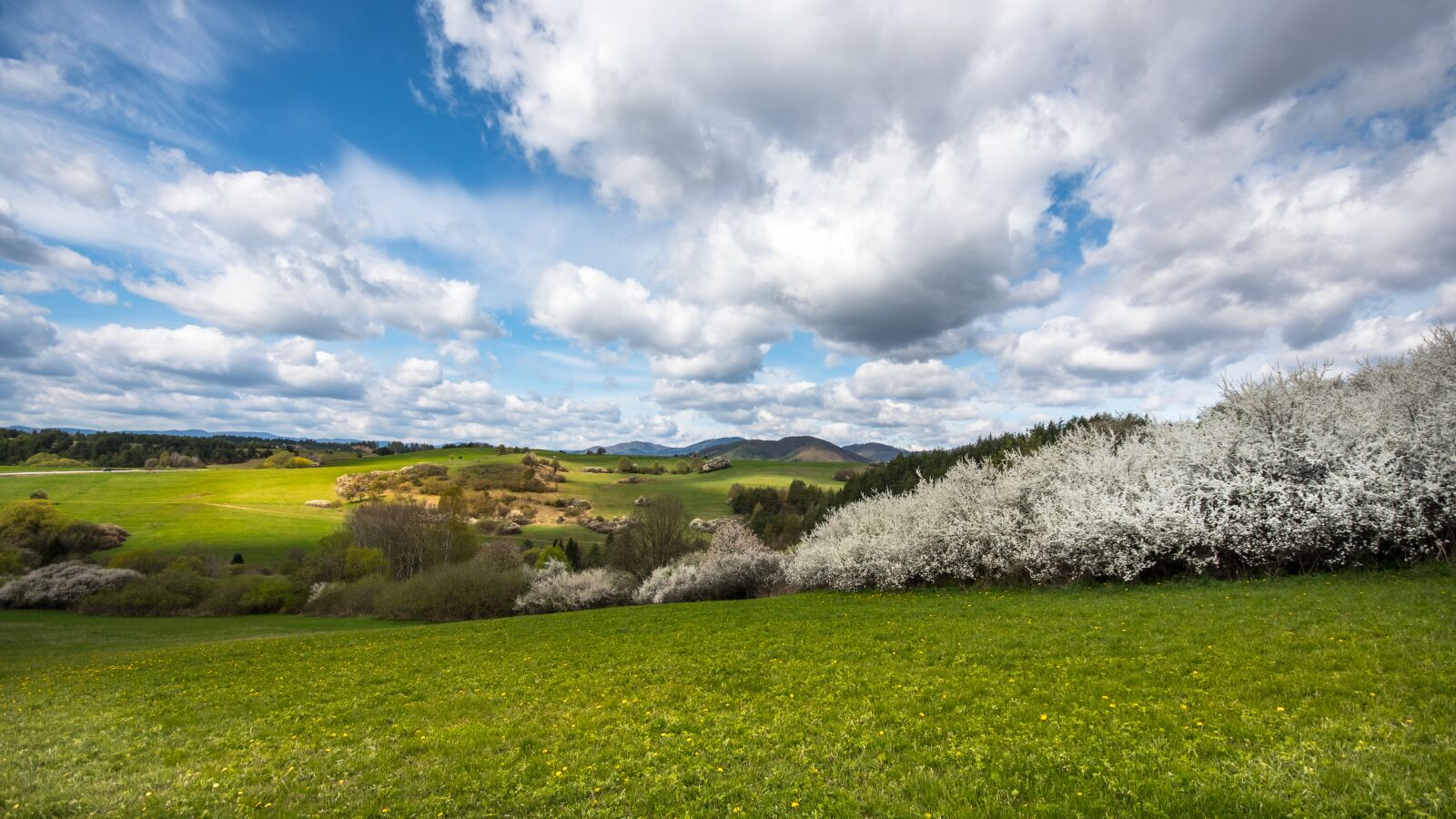 Nikon D500 sample photo. Landscape, view, nature photography