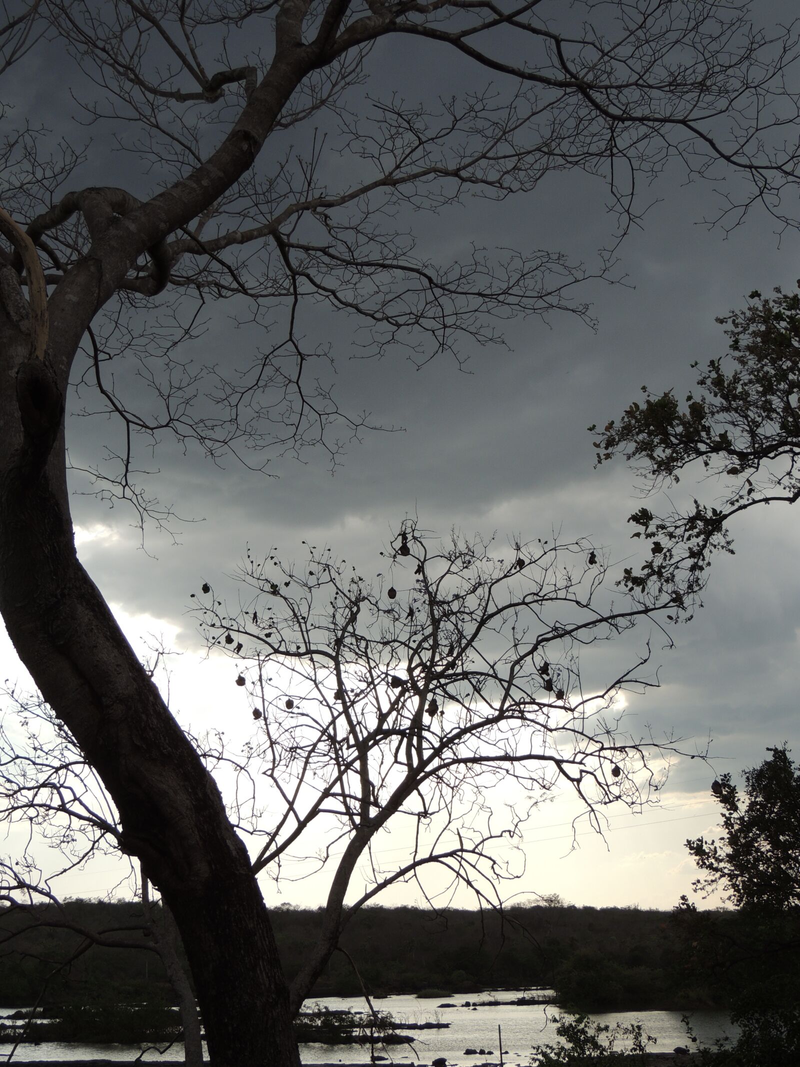 Nikon Coolpix P510 sample photo. Cachoeira do urubu, piau photography