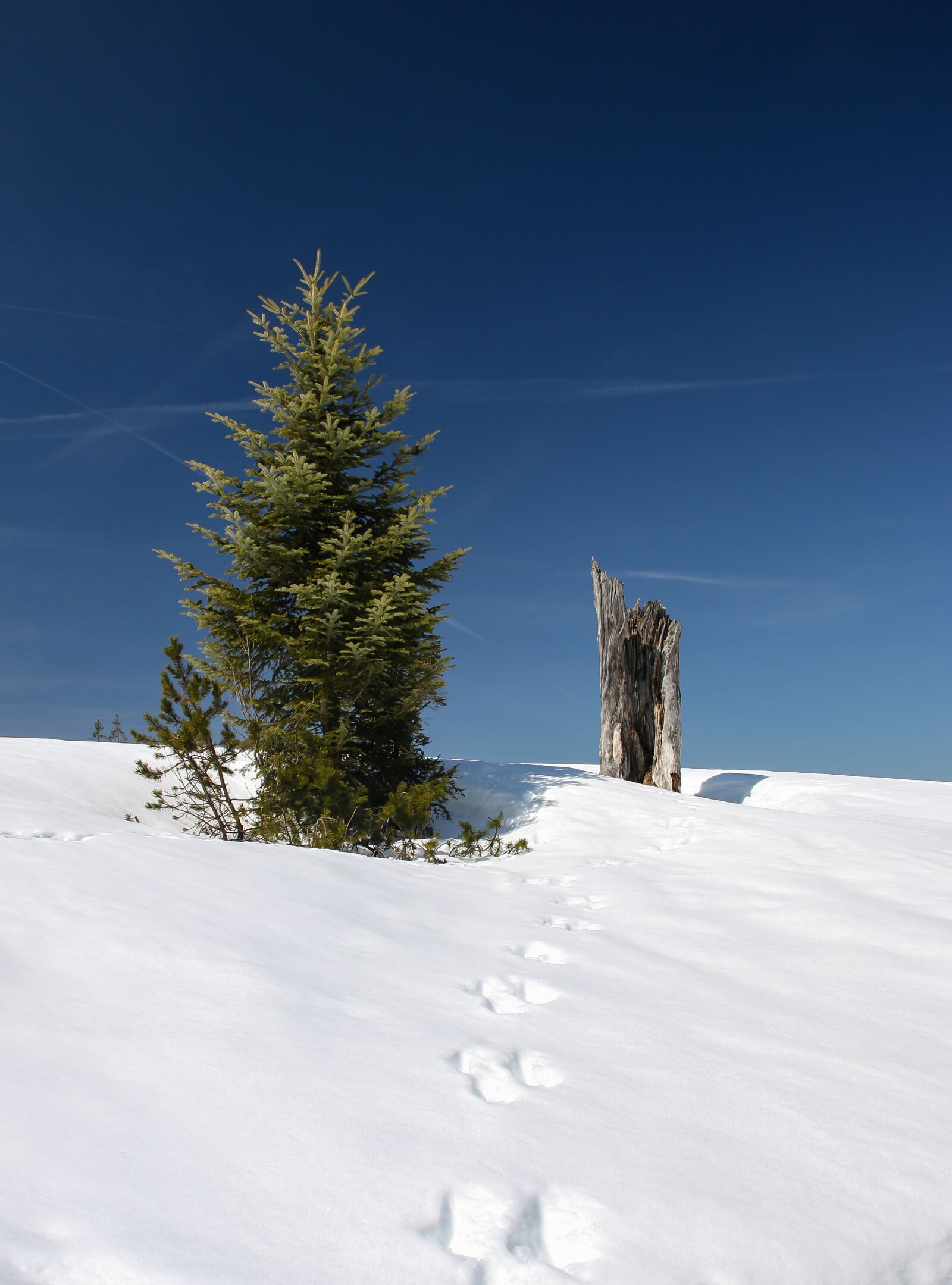 Canon EOS 70D sample photo. Winter, snow, wintry photography