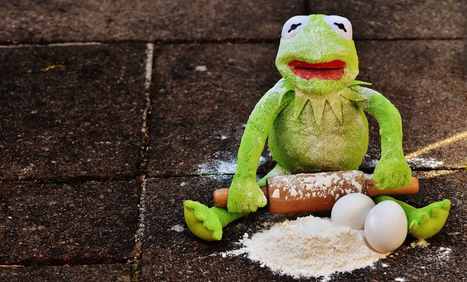 Nikon D7200 sample photo. Kermit, bake, rolling pin photography
