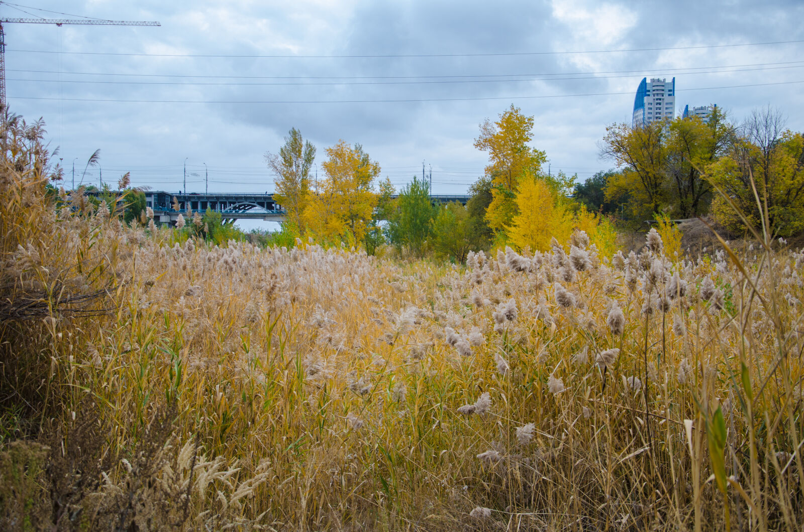 Nikon D5100 sample photo