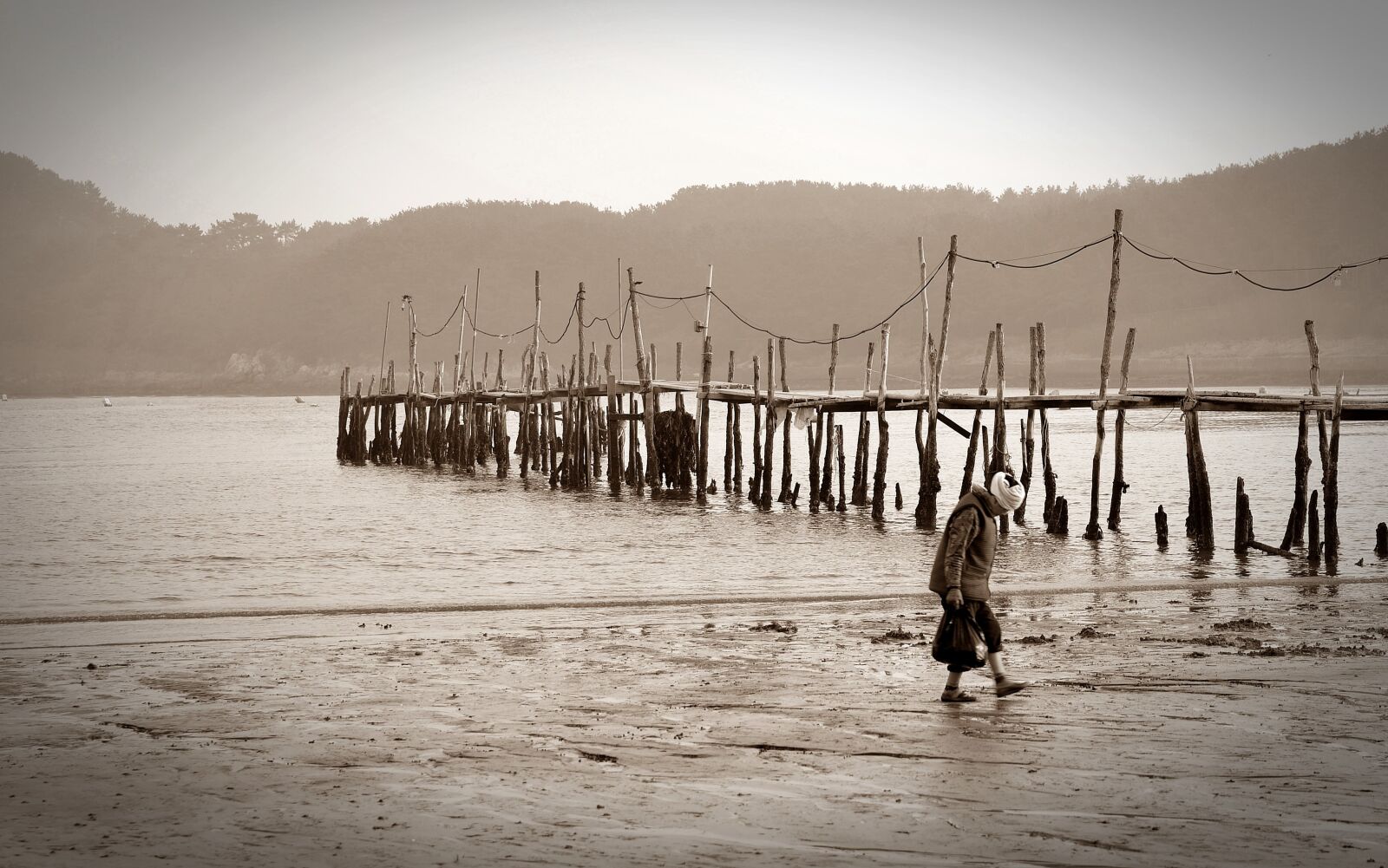 Nikon D800 sample photo. Beach, landscape photography