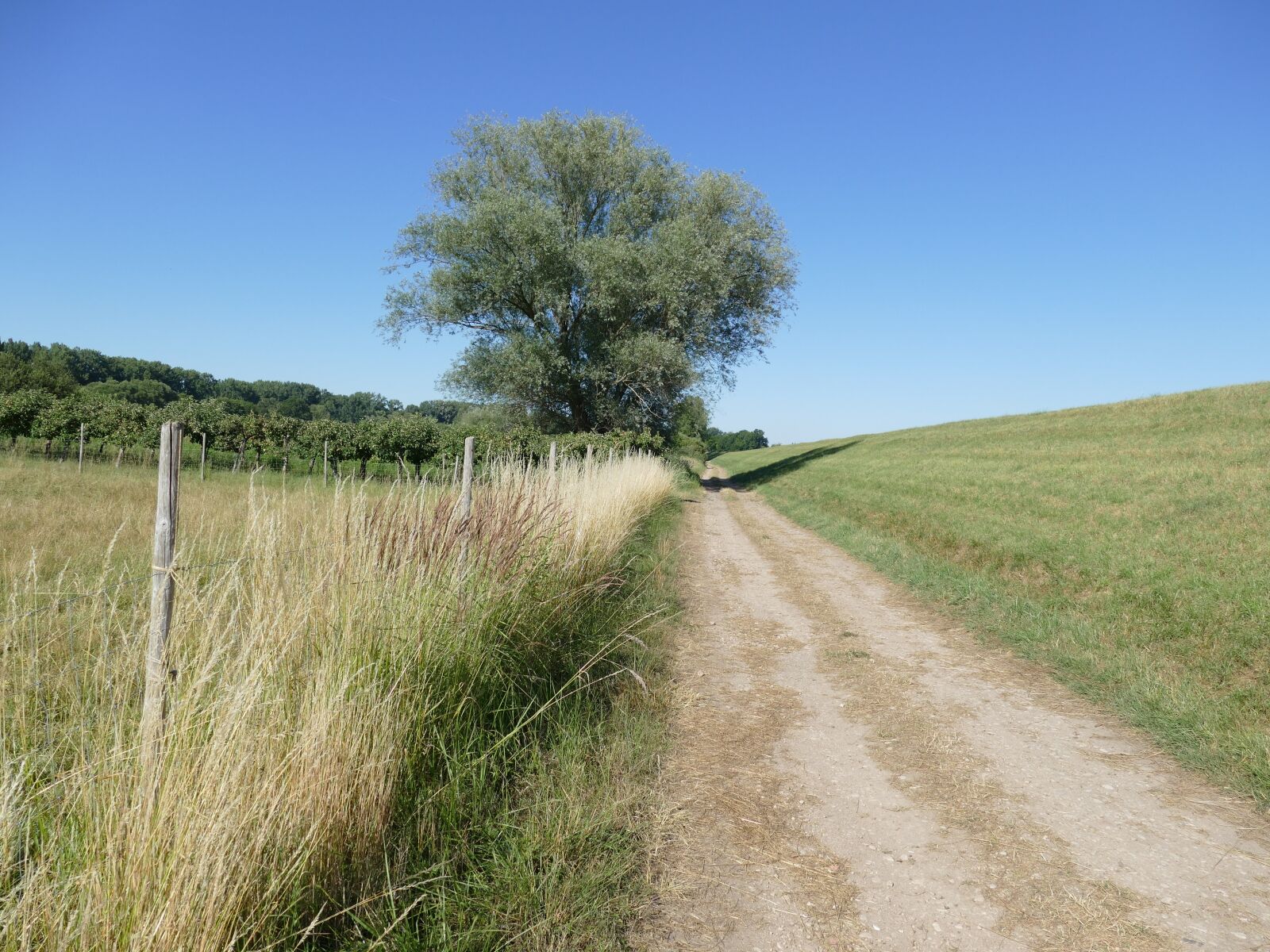Panasonic Lumix DMC-FZ1000 sample photo. Landscape, lane, nature photography