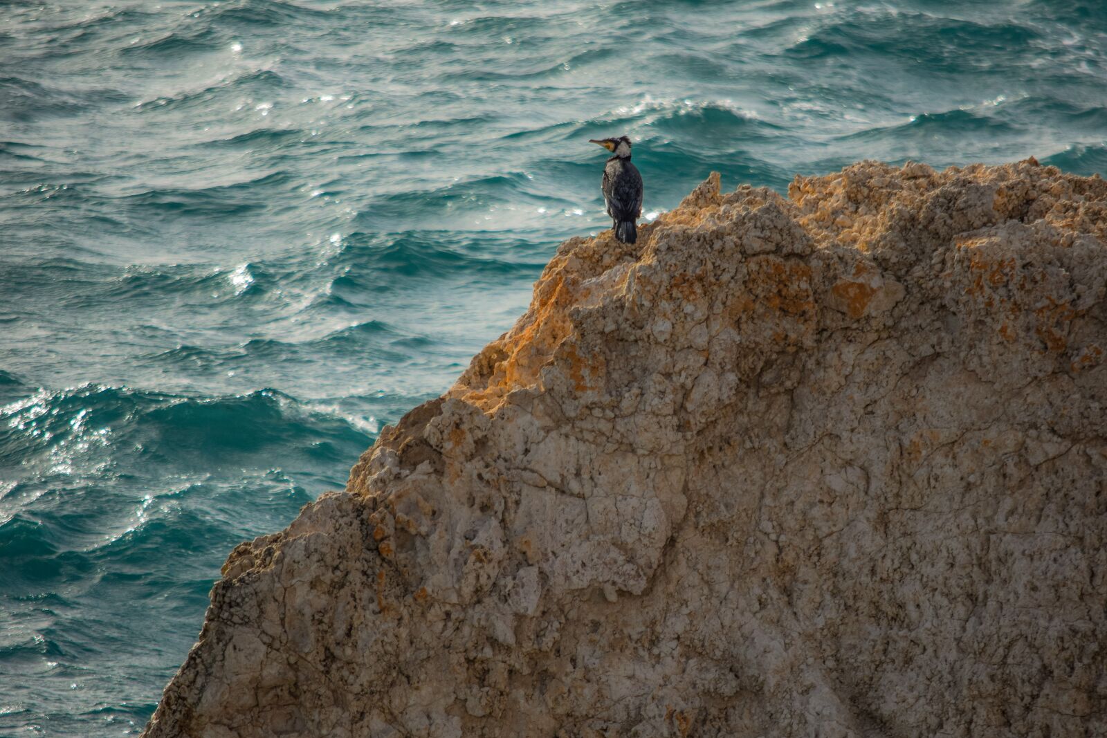Nikon D3300 sample photo. Sea, nature, rock photography