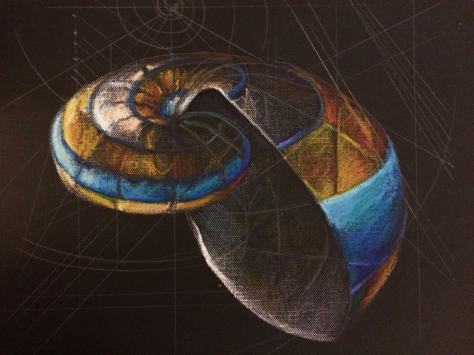 iPhone 5s back camera 4.15mm f/2.2 sample photo. Shell, fibonacci, 3d photography