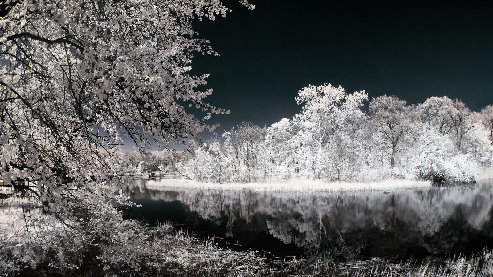 Nikon D60 sample photo. Ir, infrared, landscape photography