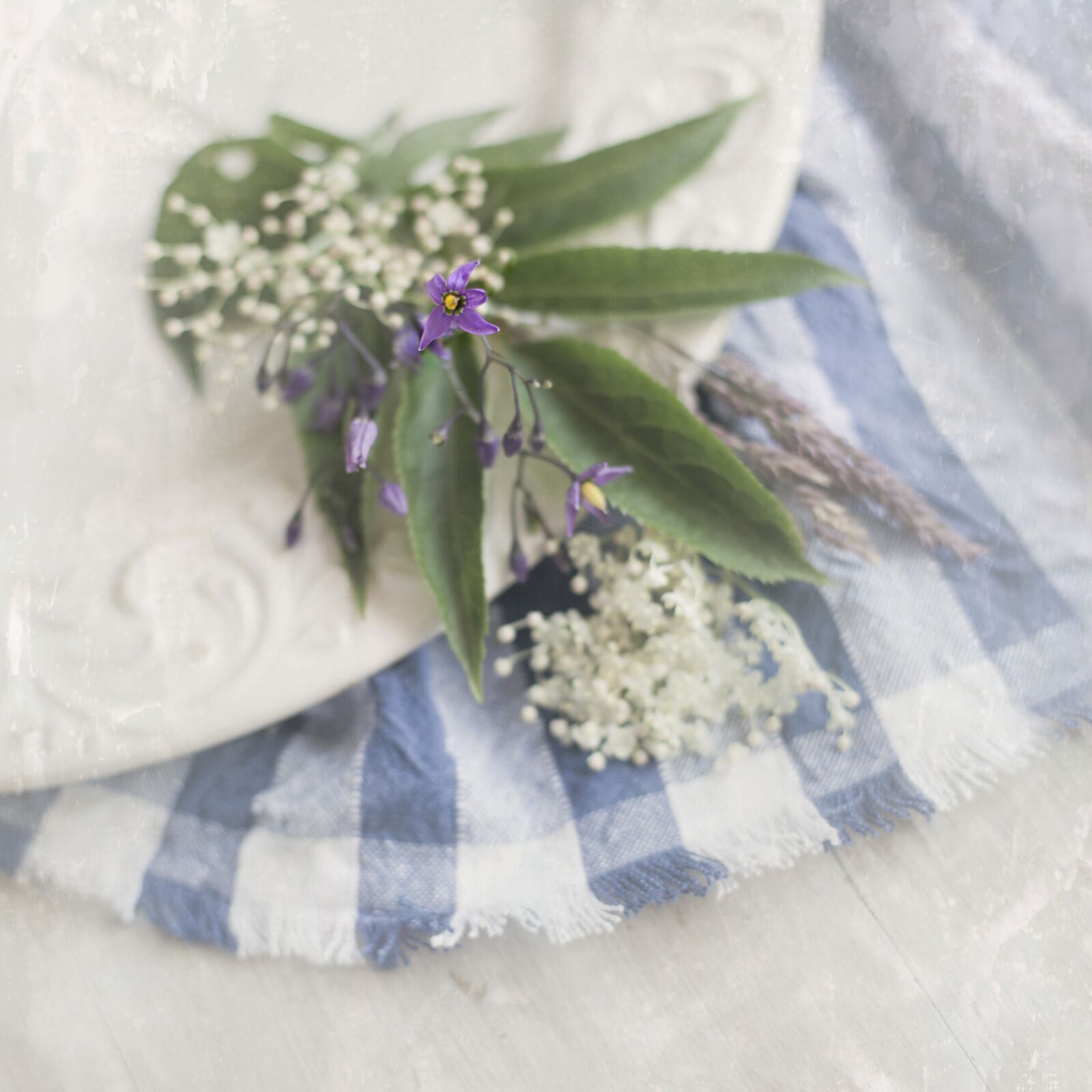 Canon EF 50mm F1.4 USM sample photo. Still life, kitchen, herbs photography