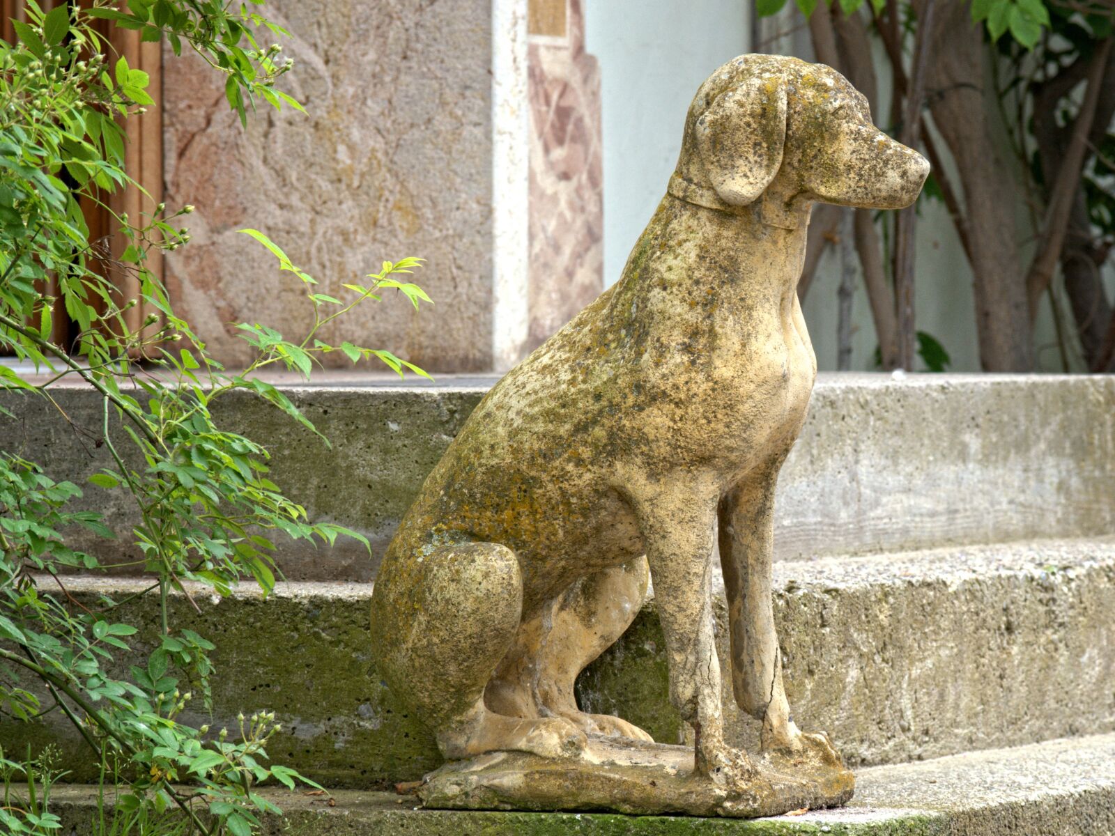 55.0-200.0mm f/4.0-f/5.6 sample photo. Initially dog, input, stairs photography