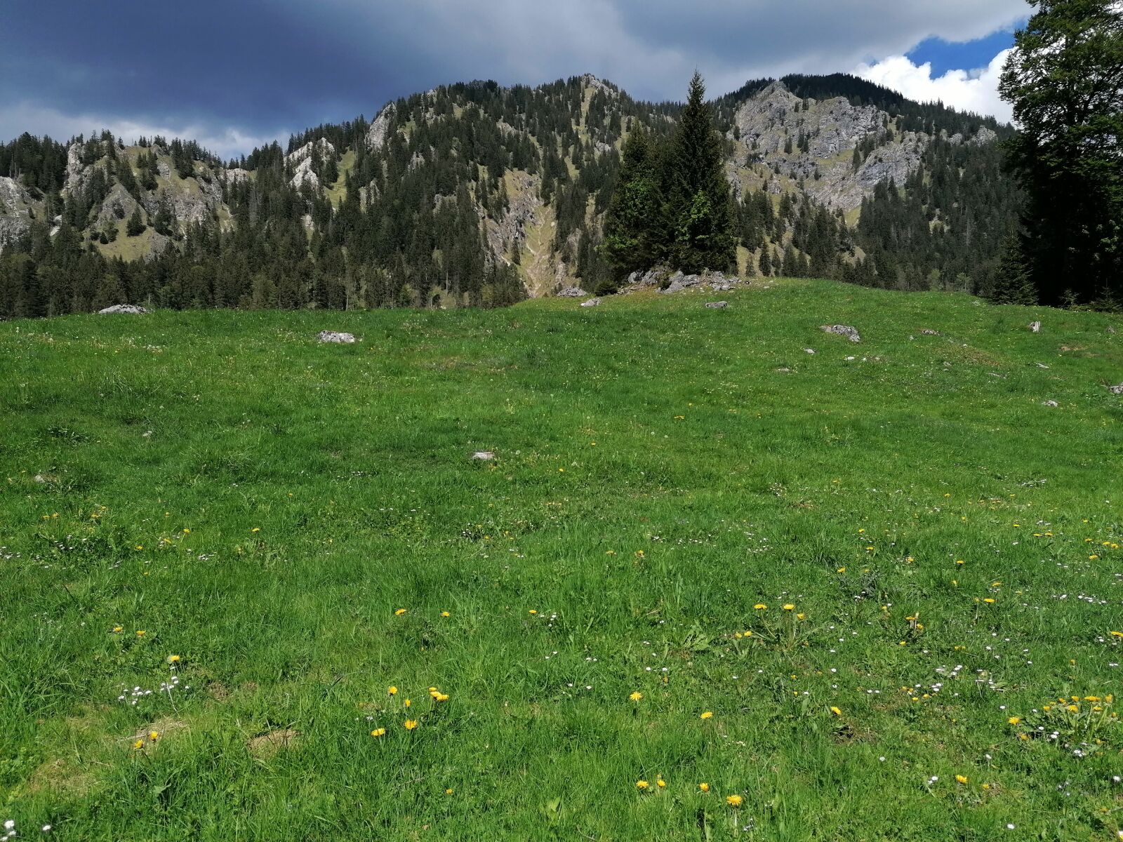 HUAWEI P30 LITE sample photo. Nature, alps, mountains photography