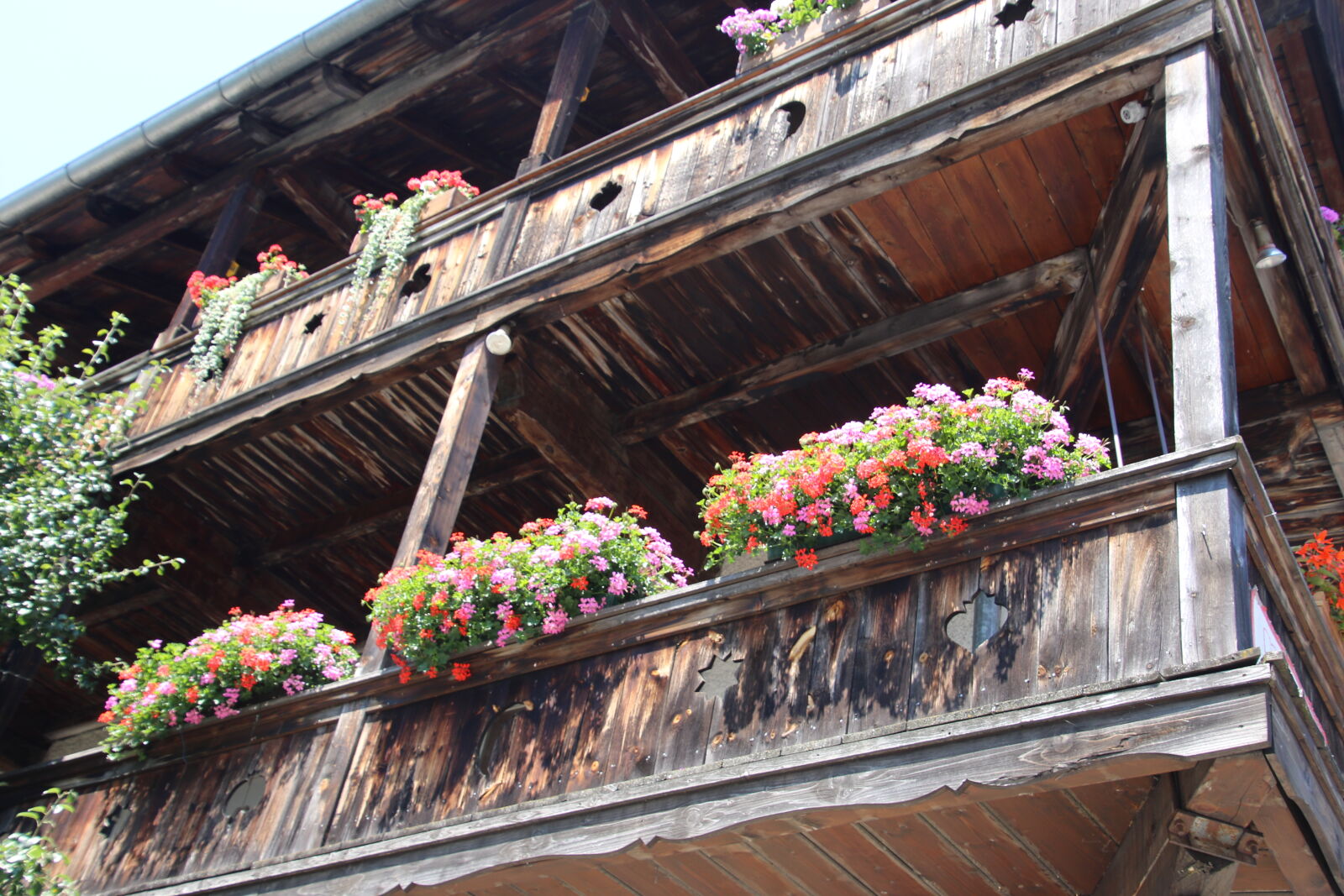 Canon EOS 7D Mark II sample photo. Balcony, flowers, garden, home photography