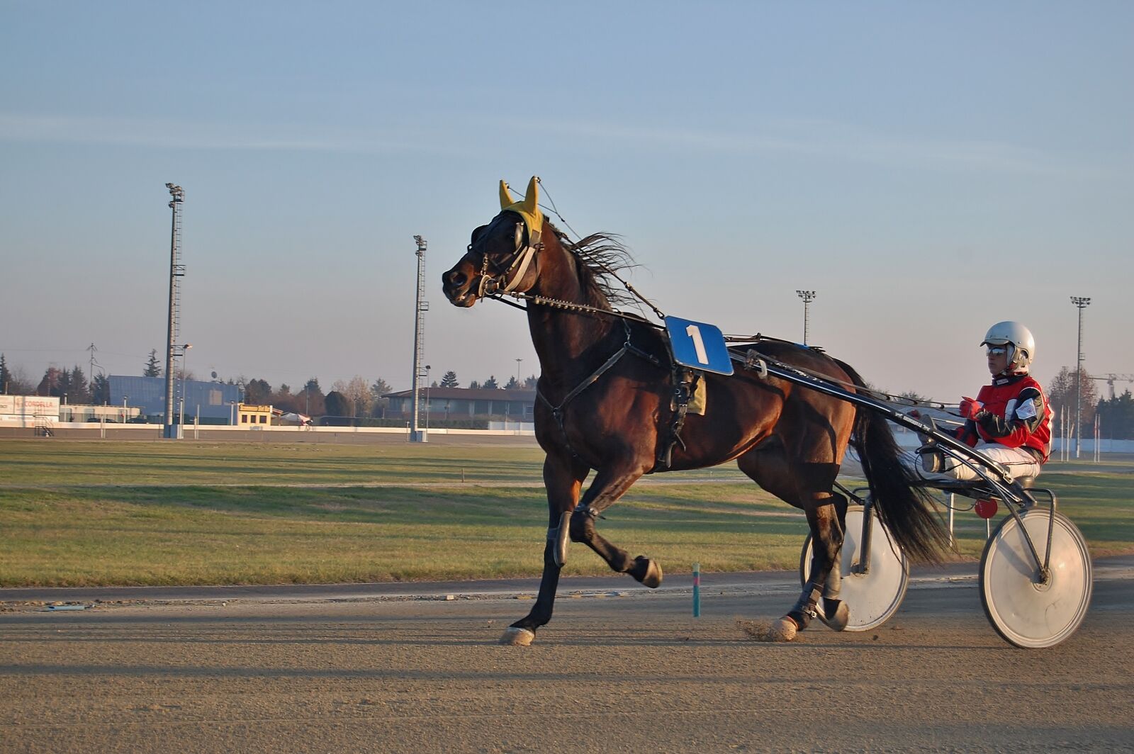 Nikon D40 sample photo. Race, horse, traber photography