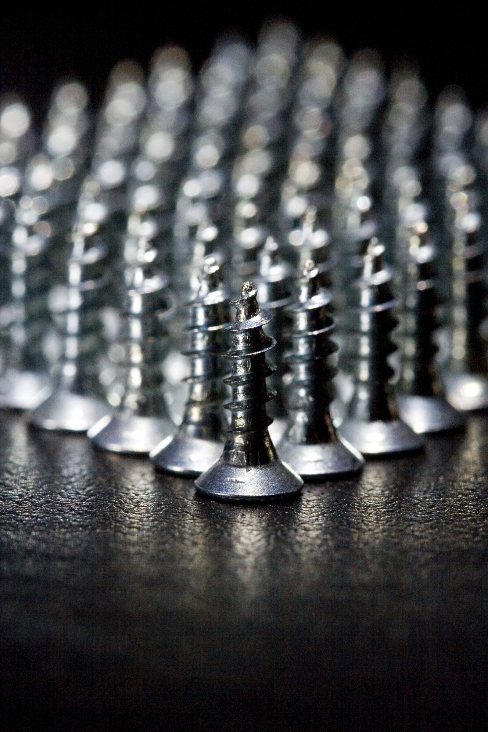 Canon EOS 20D sample photo. Screws, metal, leather photography