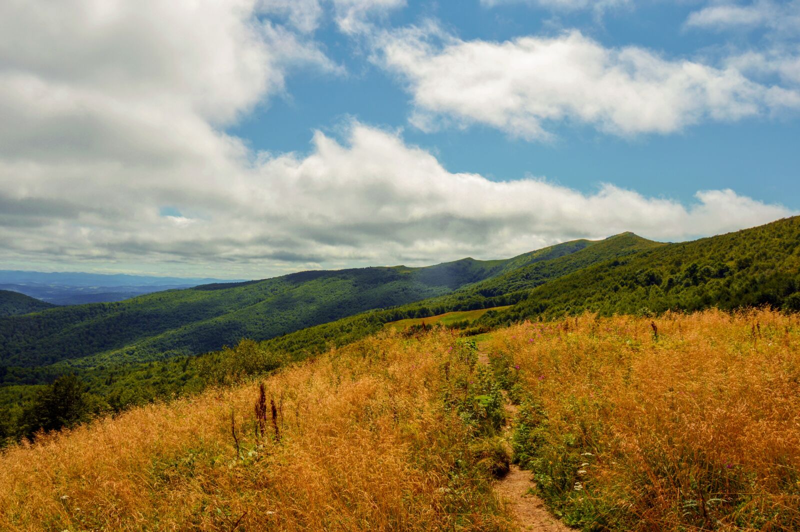 Nikon D3200 sample photo. Bieszczady, mountains, poland photography