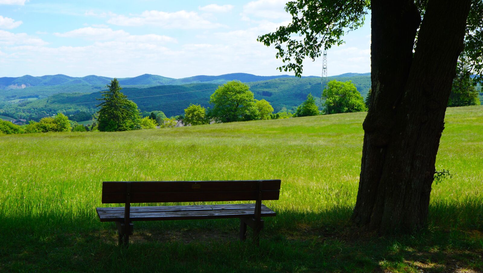 Sony a6000 + Sony FE 28-70mm F3.5-5.6 OSS sample photo. Bench, nature, hills photography