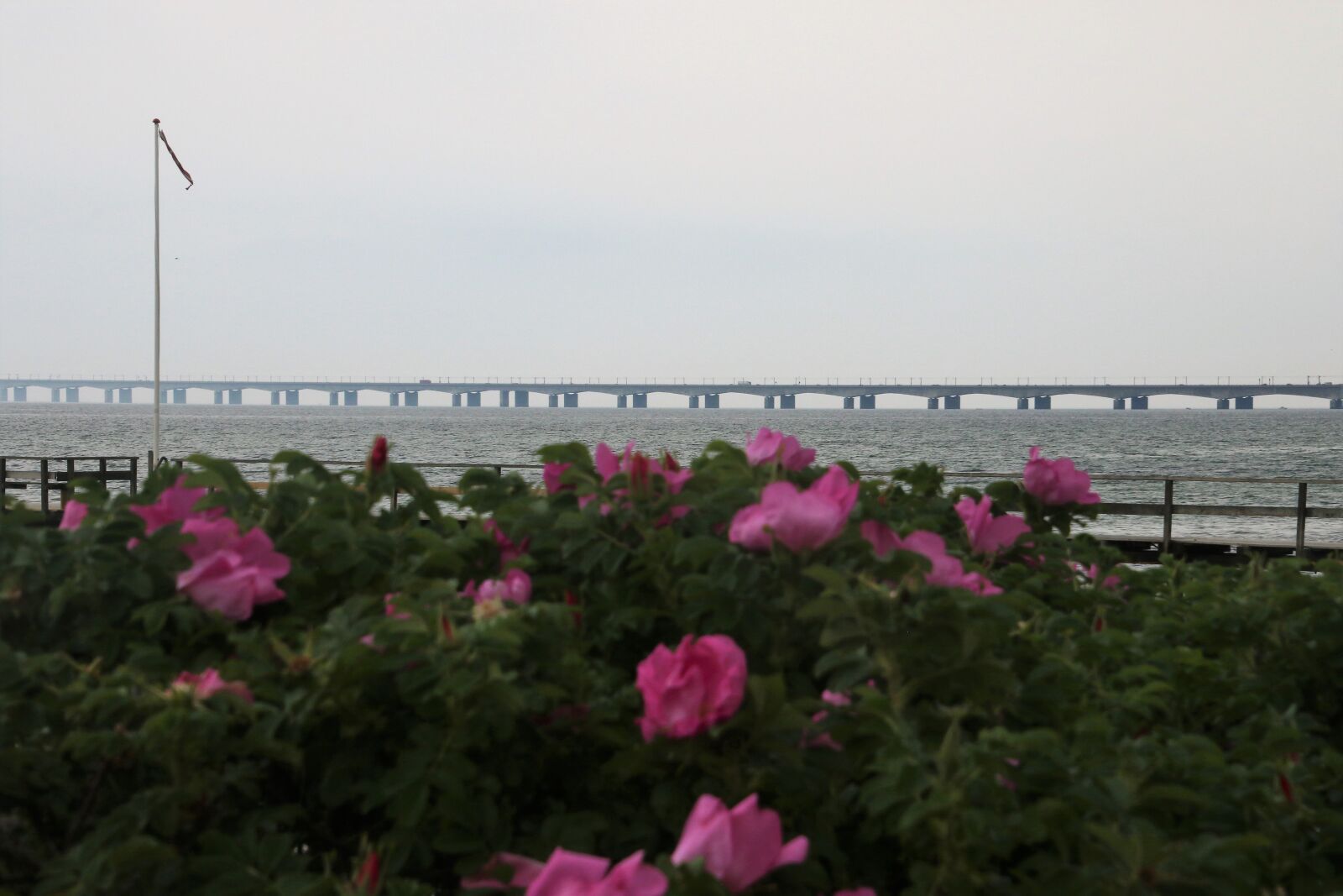 Canon EOS 7D Mark II sample photo. Bridge, flag, flowers, garden photography