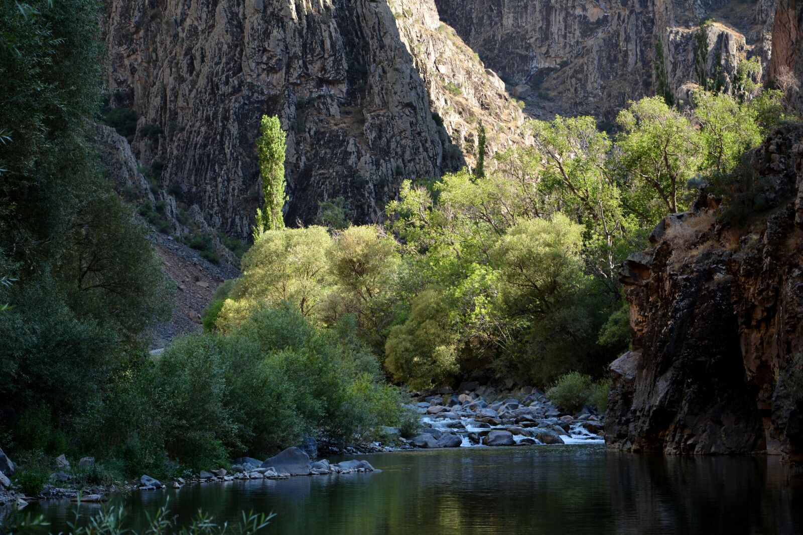 Nikon D7100 sample photo. Coruh valley, river, the photography