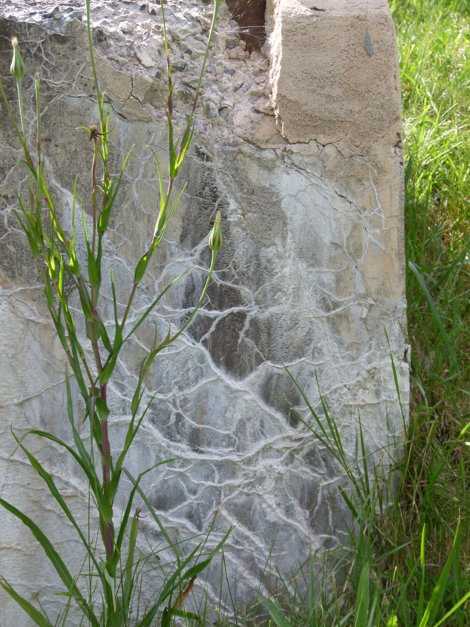 Panasonic Lumix DMC-FZ100 sample photo. Cement, wall, leaching photography