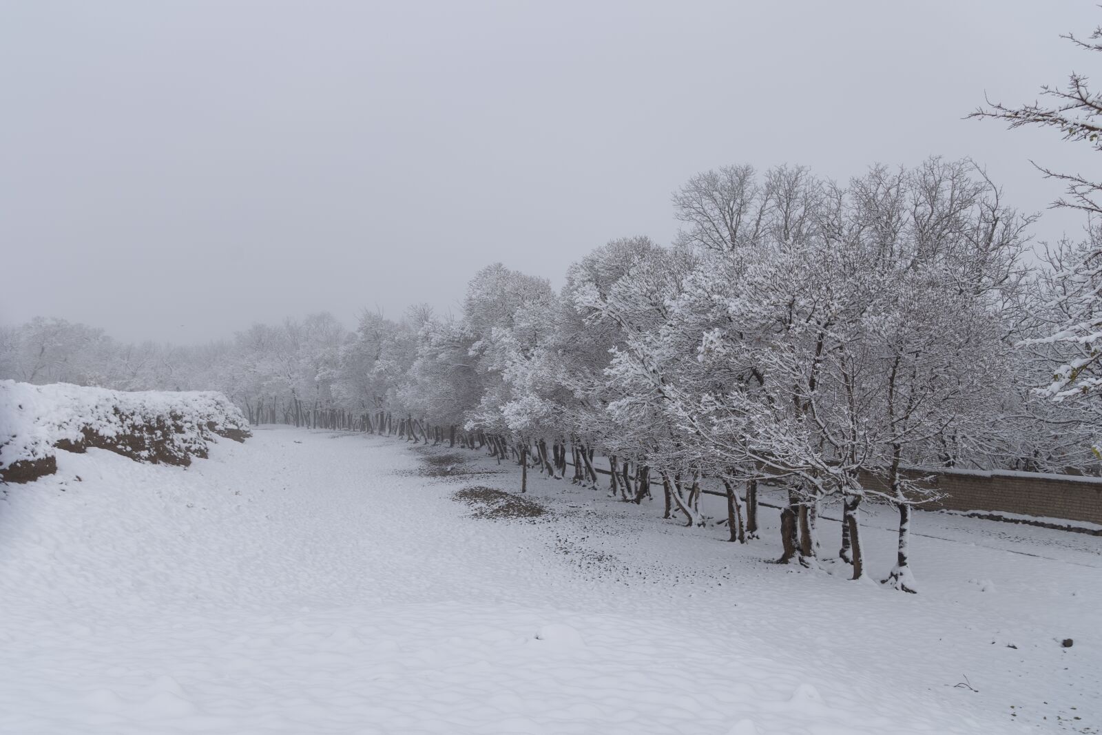 Canon EOS 6D + Canon EF 24-105mm F4L IS USM sample photo. Qom province, iran landscape photography