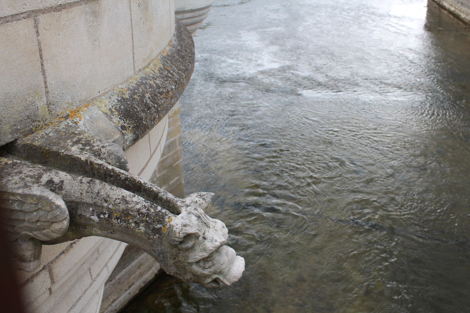 Canon EOS 600D (Rebel EOS T3i / EOS Kiss X5) sample photo. Water, river, gargoyle photography