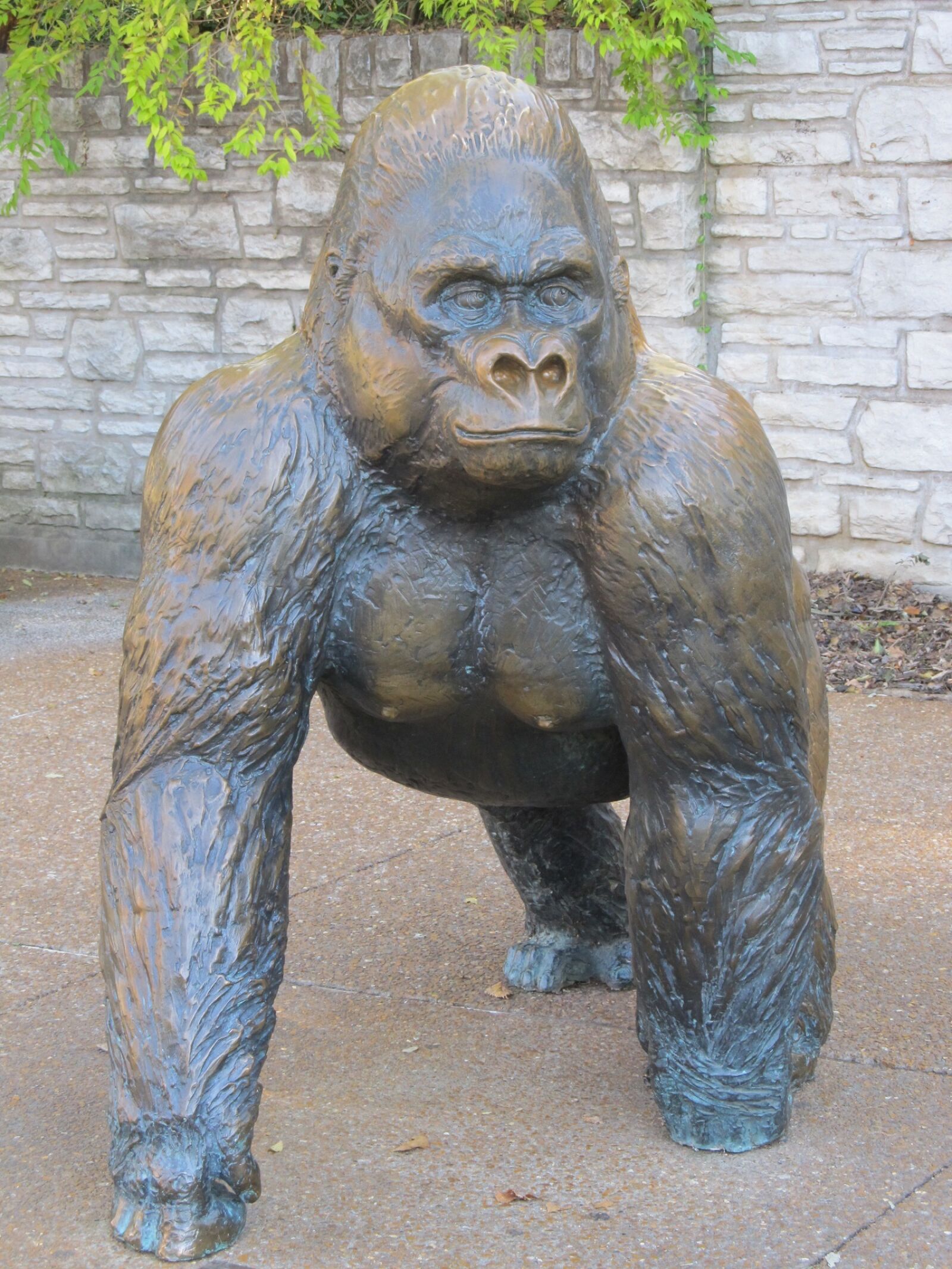 Canon PowerShot SX130 IS sample photo. Gorilla, sculpture, statue photography