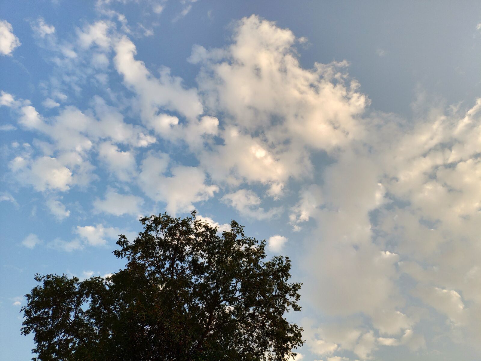 Xiaomi MIX 2S sample photo. Sky, cloud, tree photography