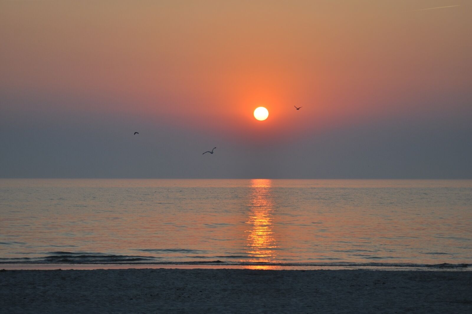 Nikon D90 sample photo. Sea, lake, sunset photography