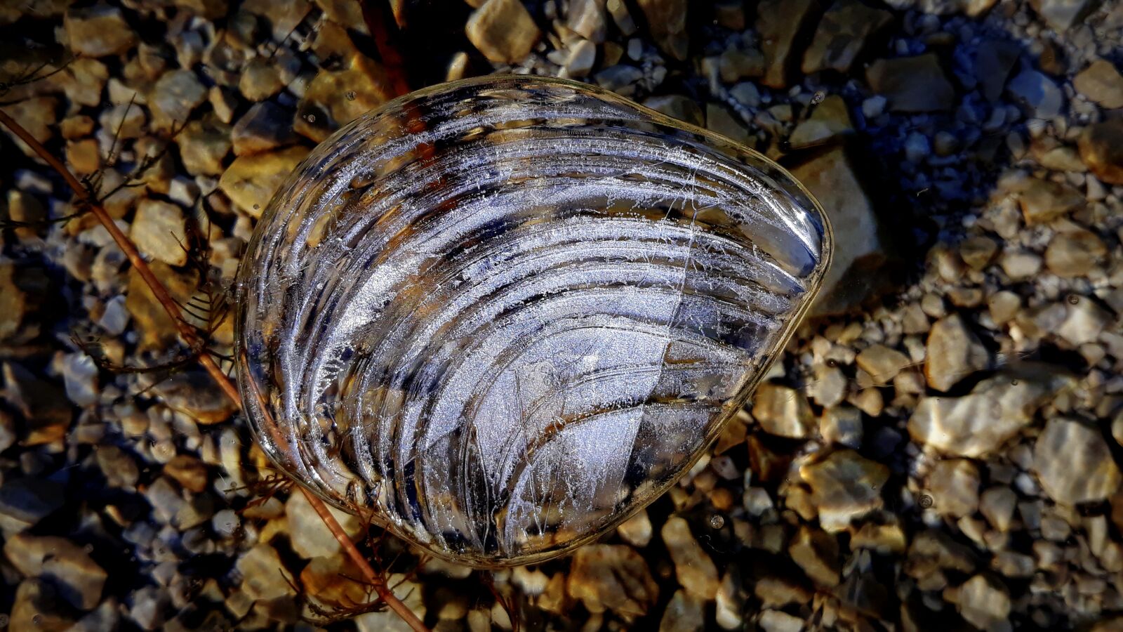 Samsung Galaxy J5 sample photo. Cold, winter, icy photography
