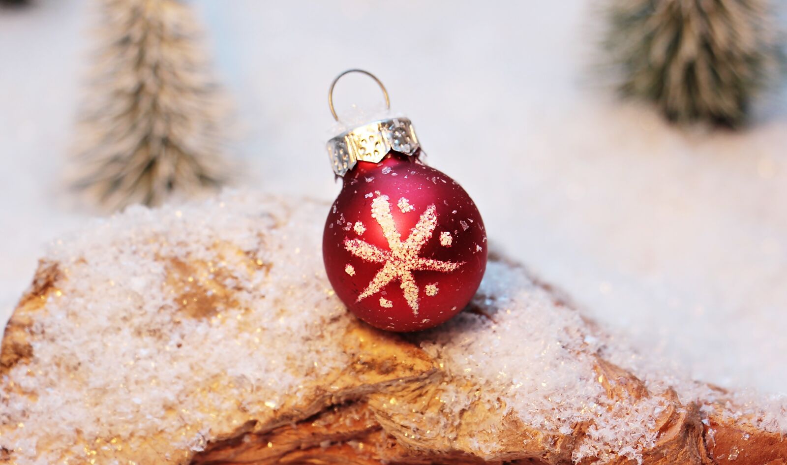 Canon EOS 550D (EOS Rebel T2i / EOS Kiss X4) sample photo. Christmas bauble, christmas ornament photography