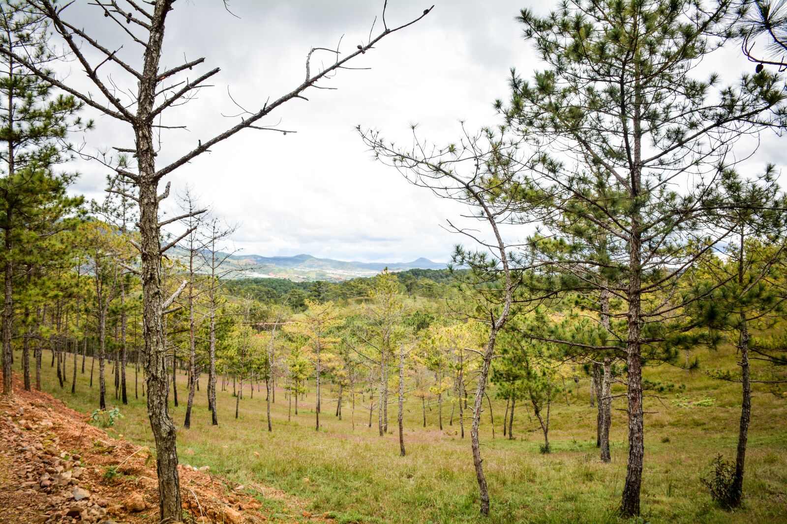 Nikon D7100 sample photo. Vietnam, moutain, landscape photography