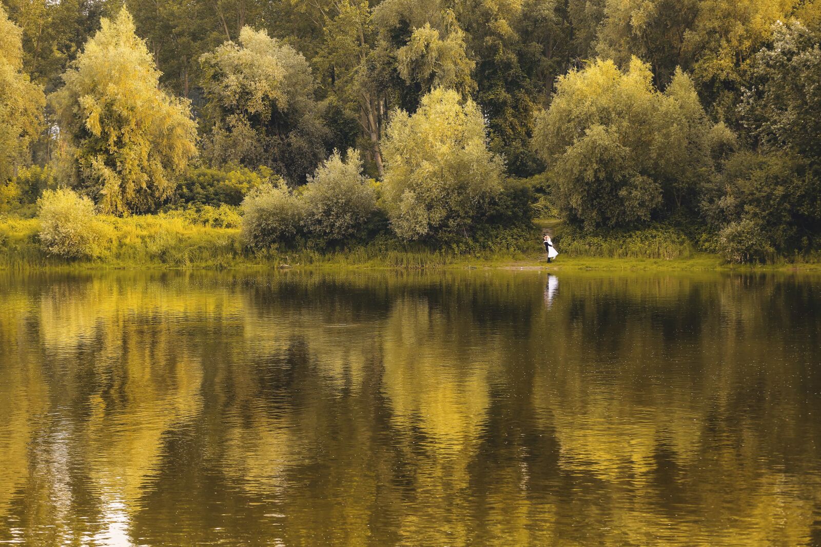 Canon EOS 5D Mark III sample photo. Bride, national park, river photography