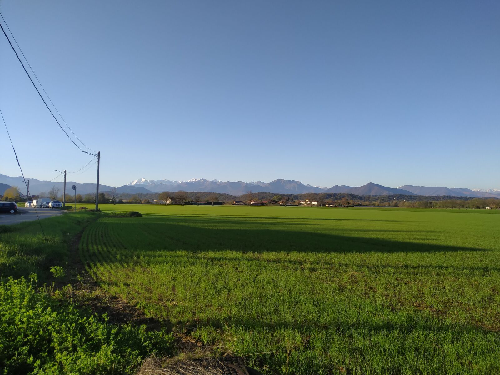 Xiaomi MI 8 Lite sample photo. Wheat field, piedmont, alps photography
