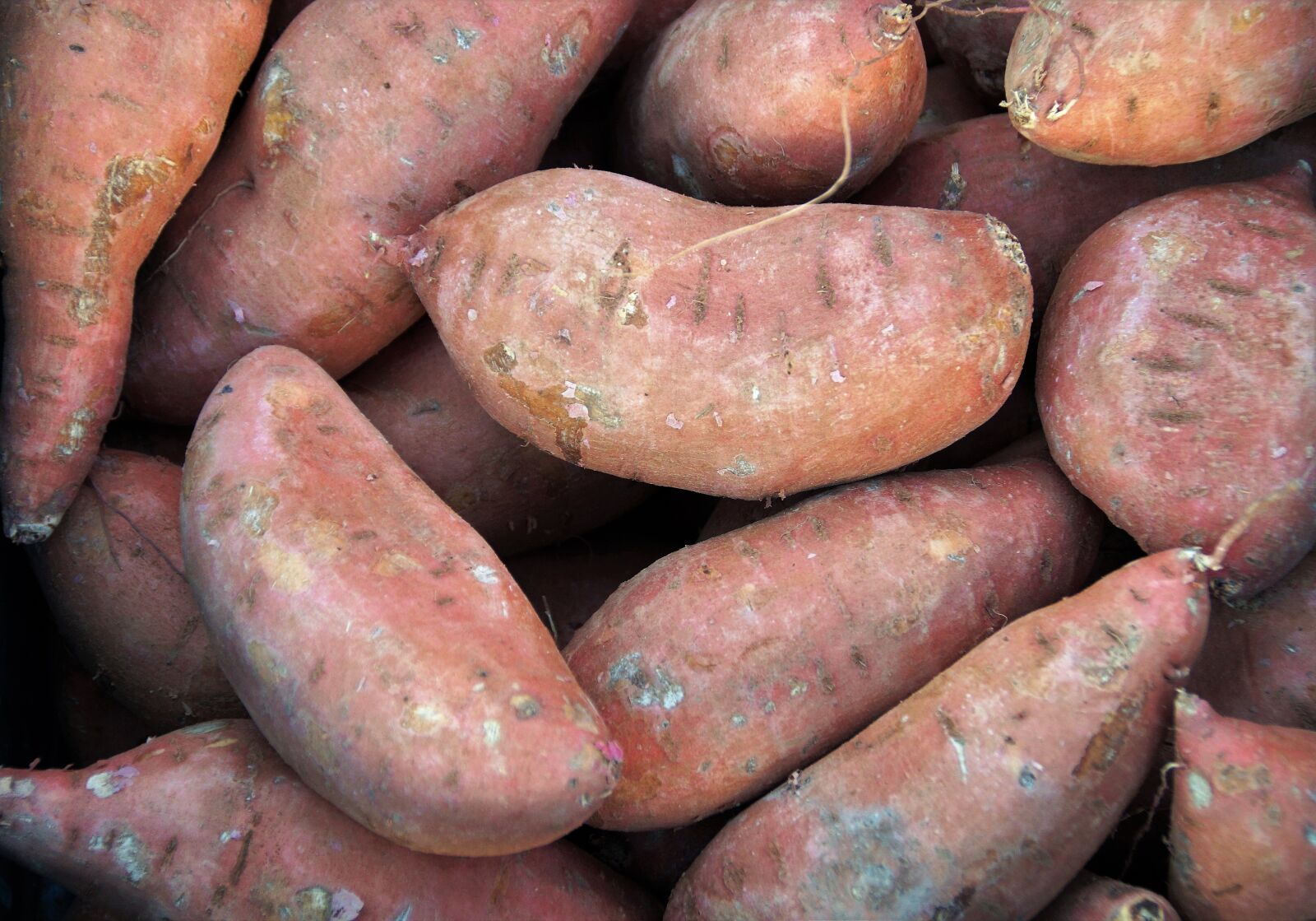 Sony SLT-A58 sample photo. Market, vegetables, fresh photography