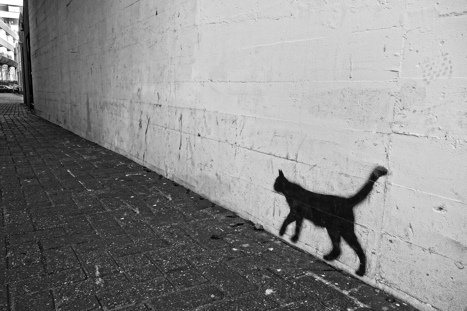 Sony Cyber-shot DSC-RX100 sample photo. Graffiti, wall, cat photography