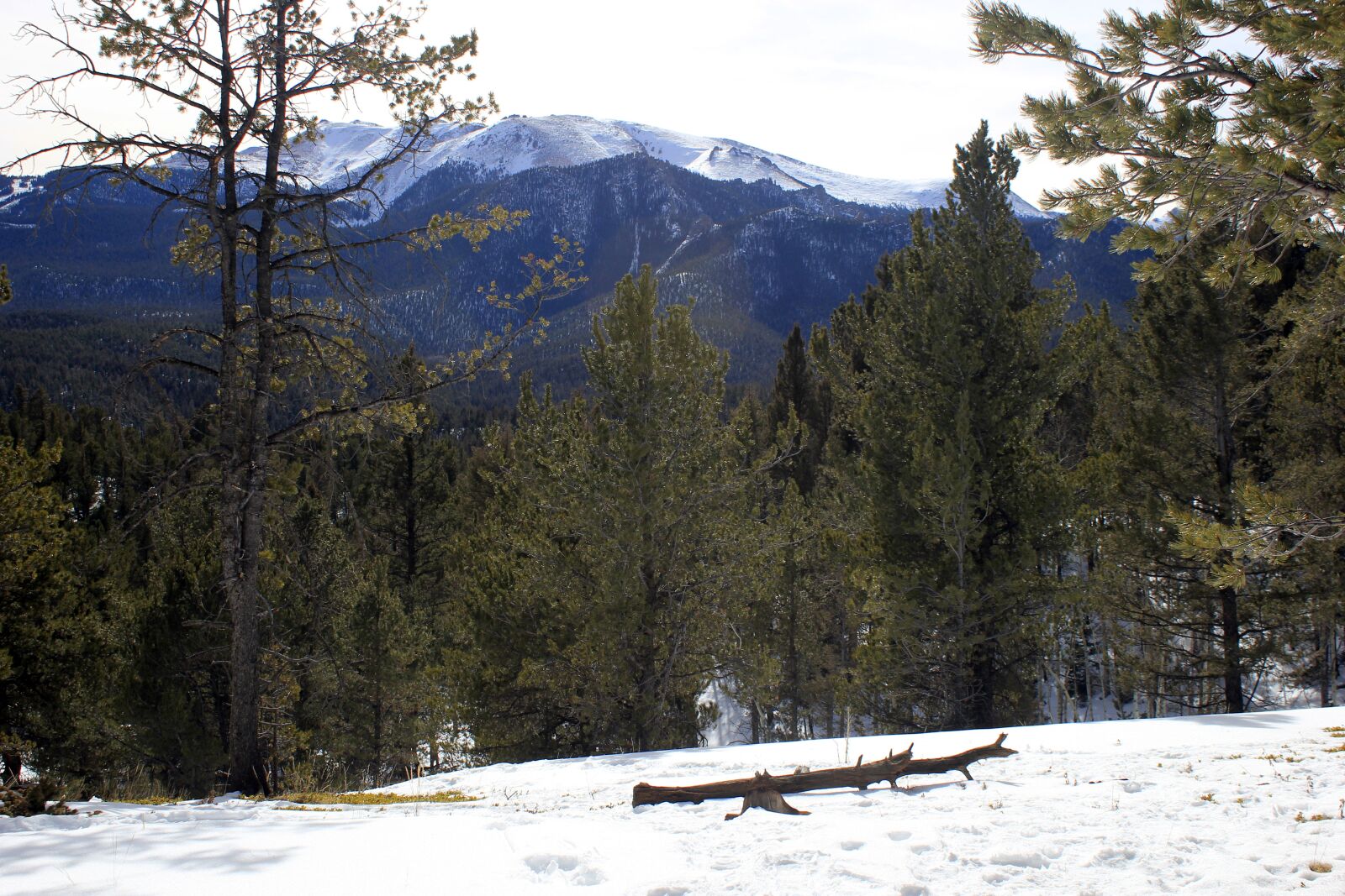 Canon EOS 550D (EOS Rebel T2i / EOS Kiss X4) sample photo. Colorado, pikes peak, hiking photography