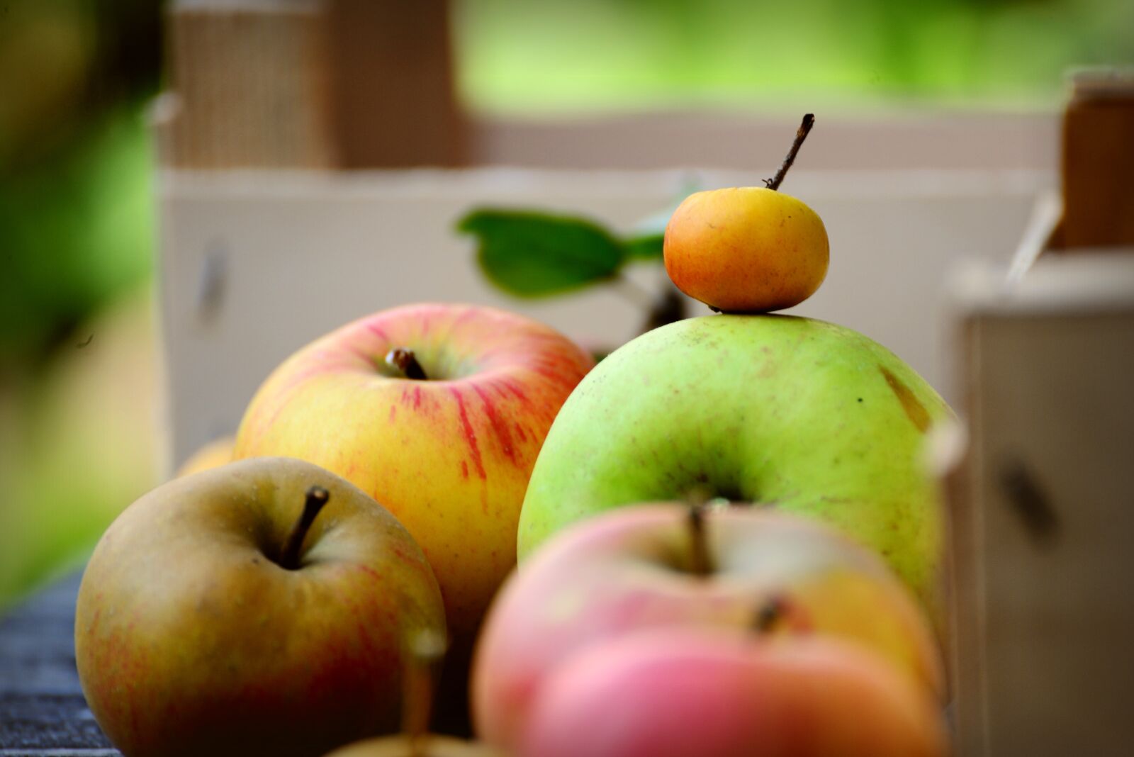 Nikon D610 sample photo. Apples, fresh apples, fruits photography