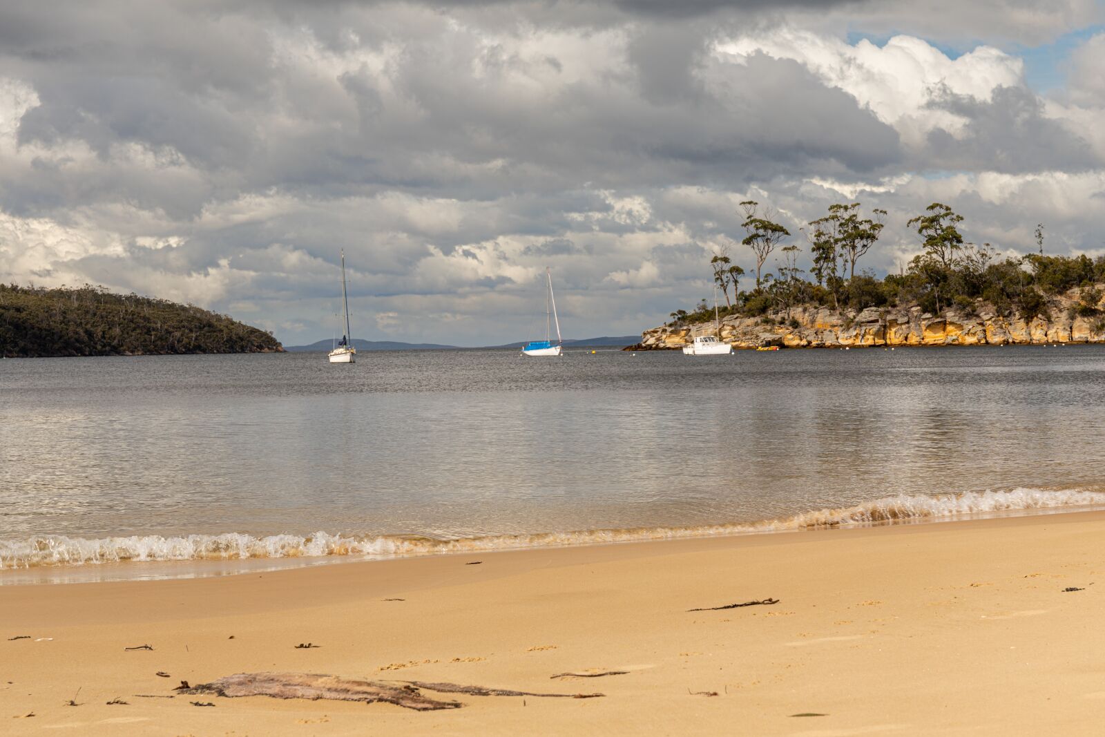 Canon EF 24-70mm F4L IS USM sample photo. Australia, tasmania, nature photography