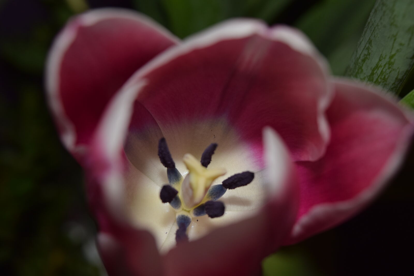 Nikon D3300 sample photo
