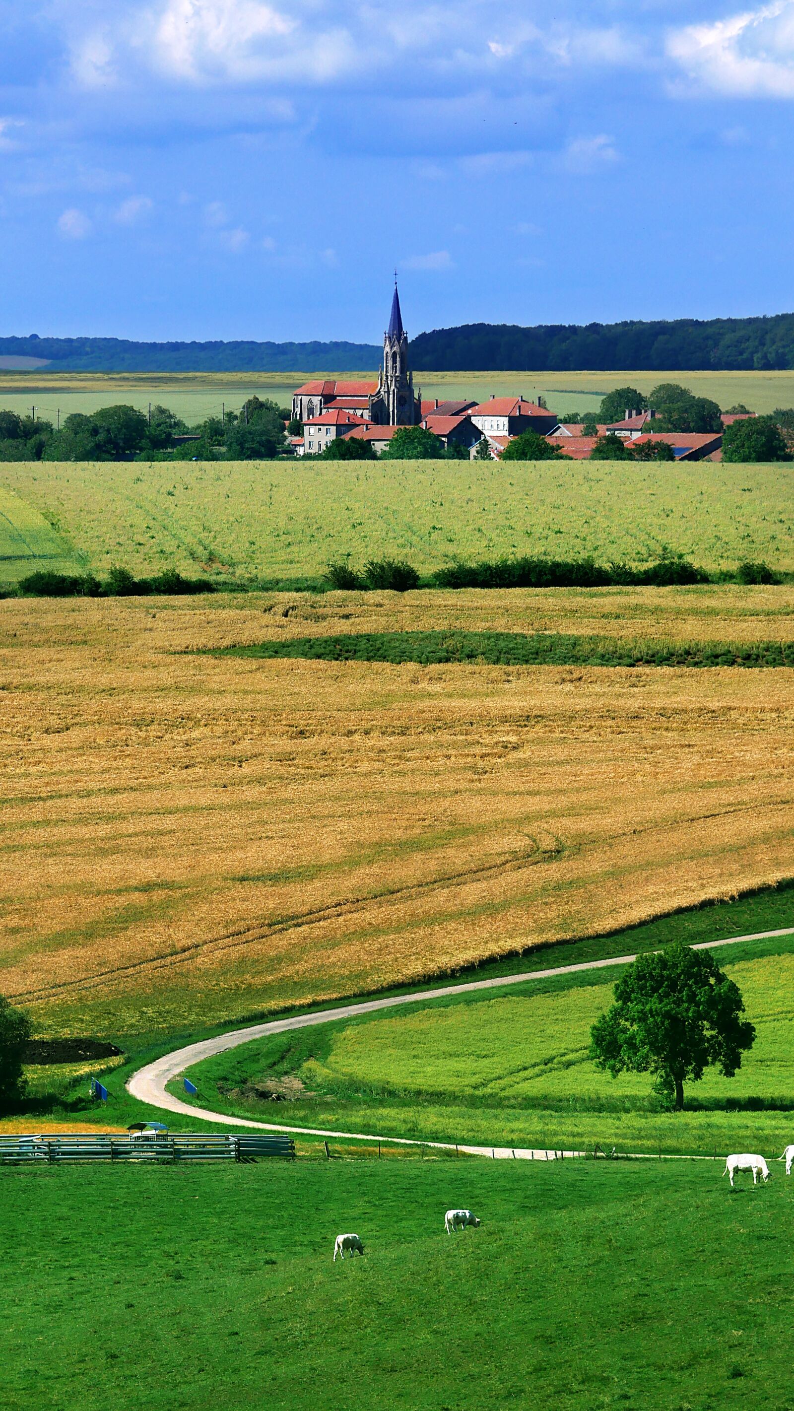 Panasonic Lumix DMC-GX85 (Lumix DMC-GX80 / Lumix DMC-GX7 Mark II) sample photo. Village, countryside, landscape photography