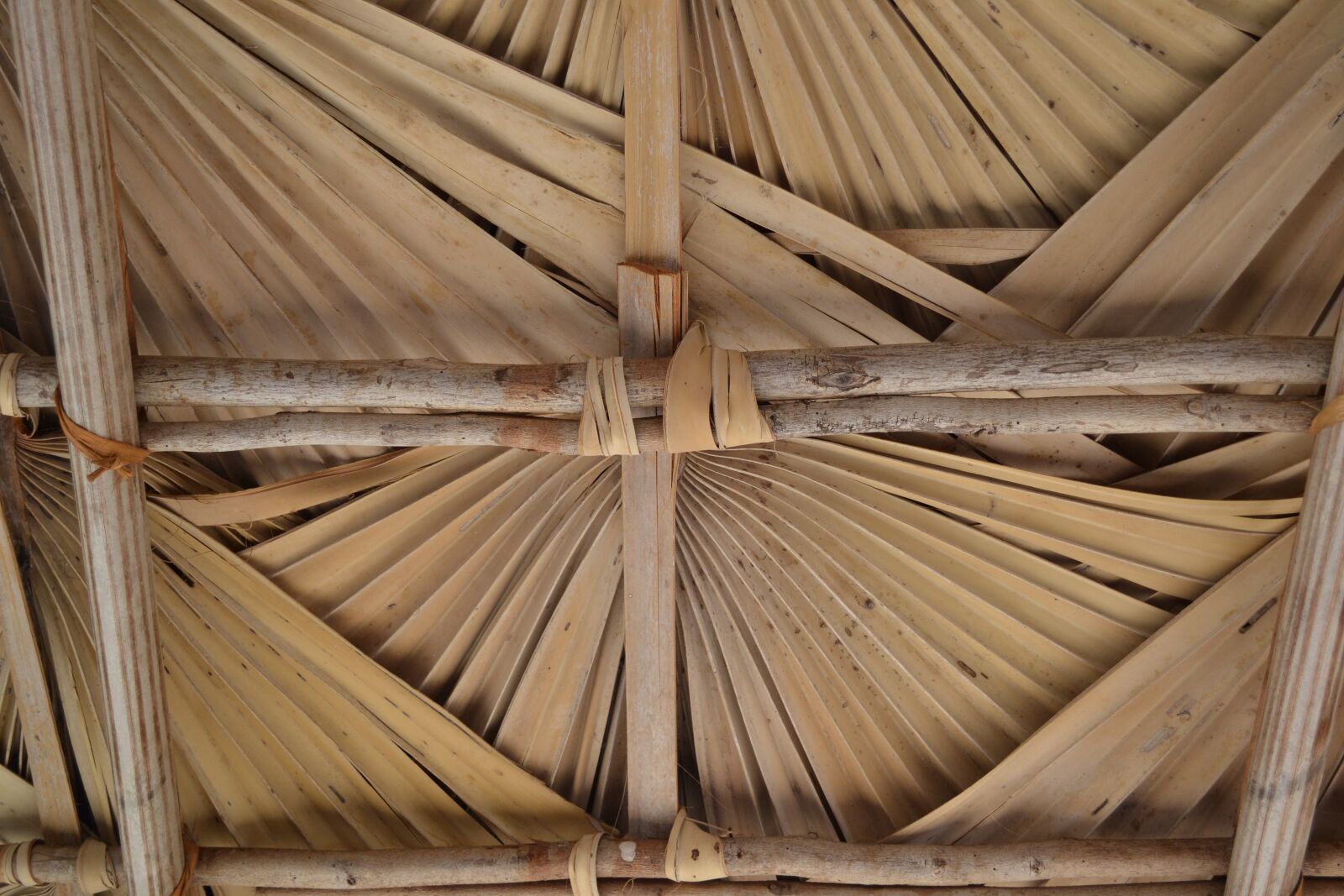 Nikon D3100 sample photo. Roof, beige, nature photography