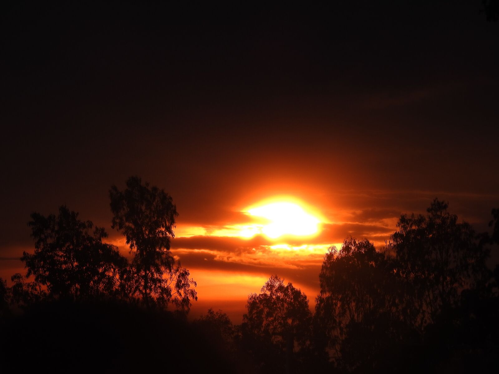 Nikon Coolpix P900 sample photo. Sunset, good evening, good photography