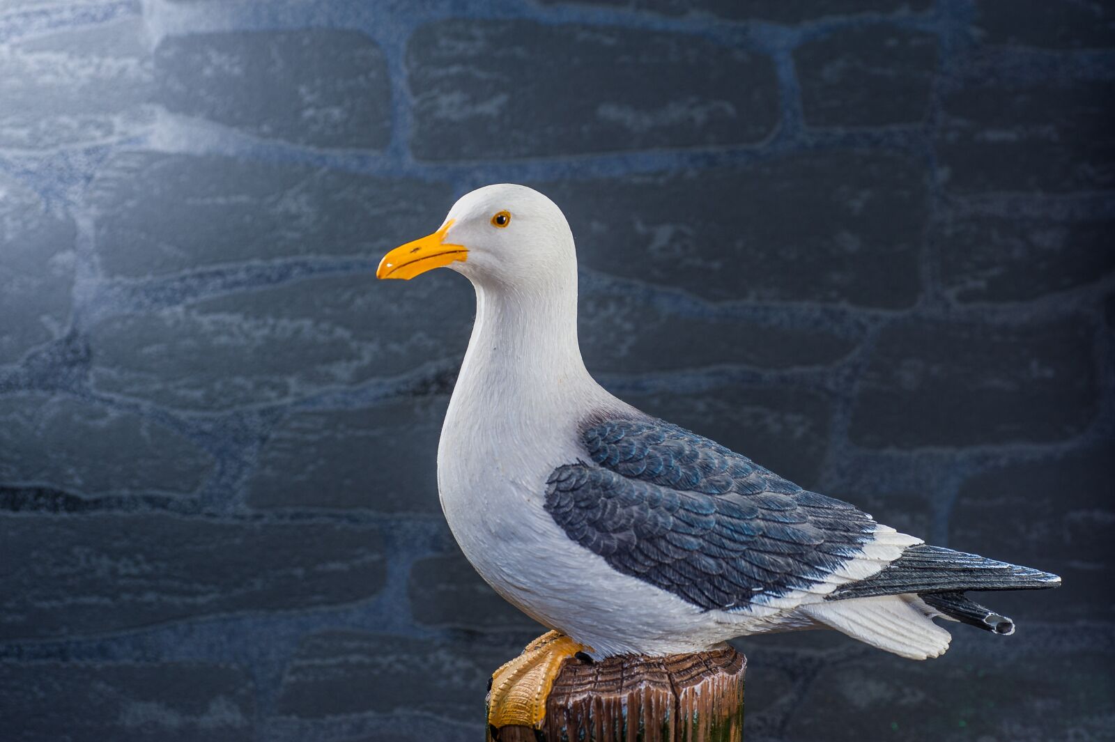 Nikon D700 sample photo. Seagull, pile, stone wall photography