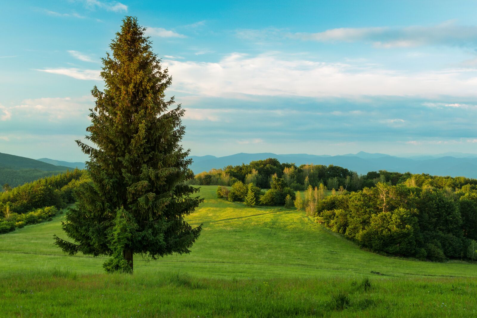 Nikon D5500 sample photo. Nature, country, mountains photography