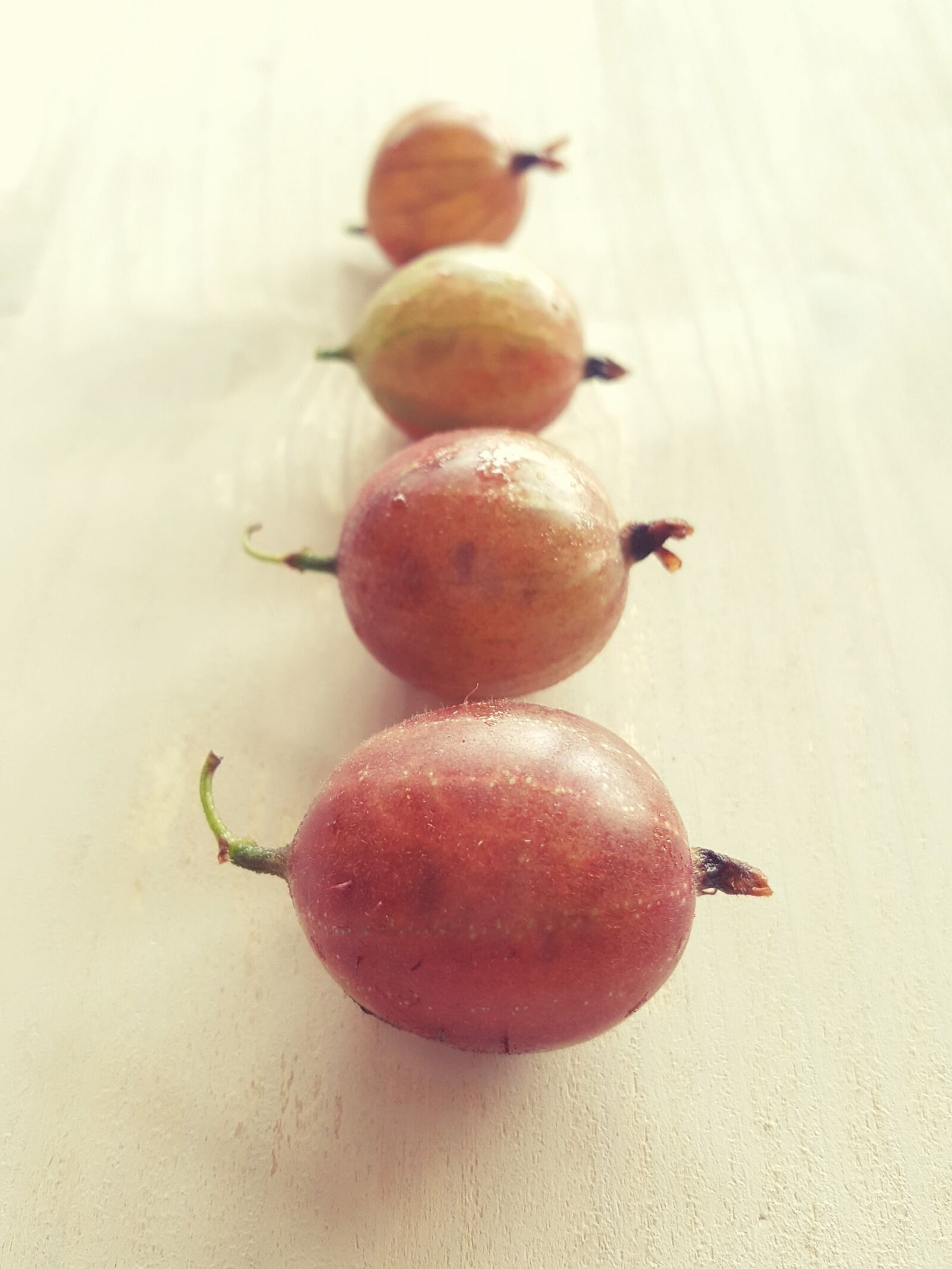 Samsung Galaxy S6 sample photo. Gooseberry, fruit, fresh photography