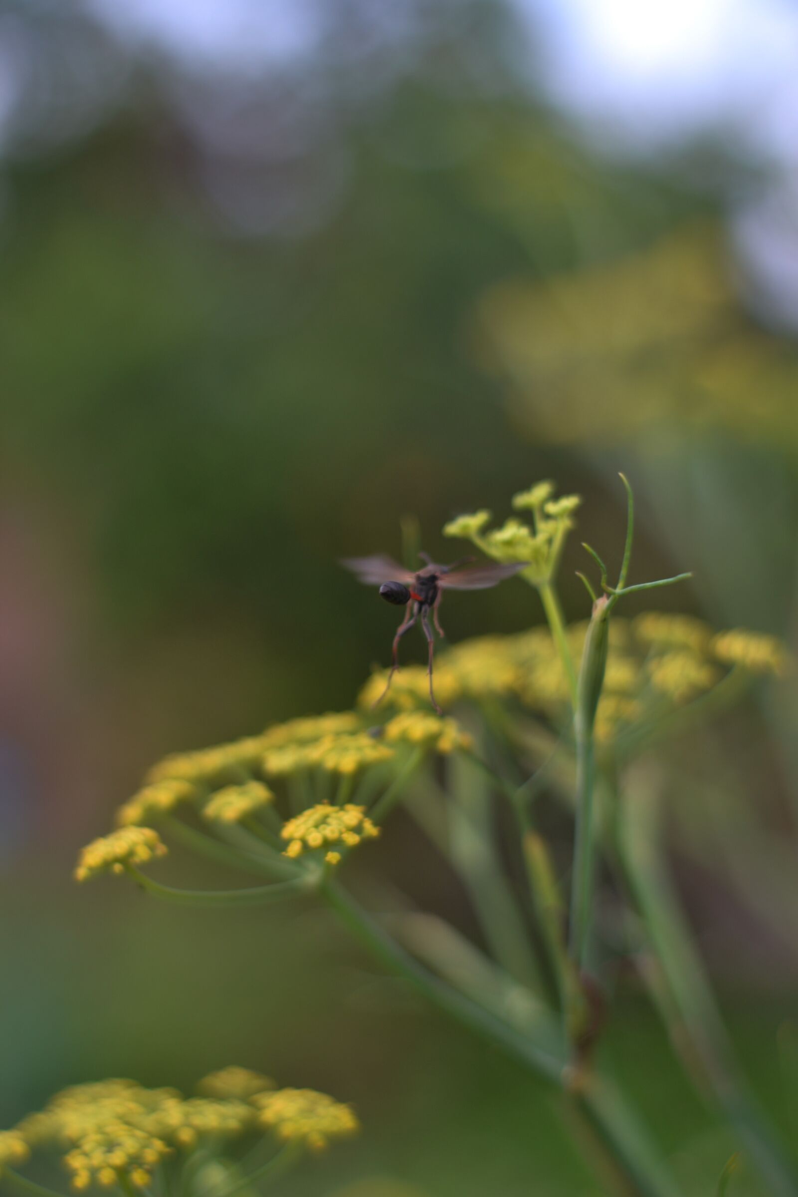 Nikon D3100 sample photo. Simplicity, moment, look photography
