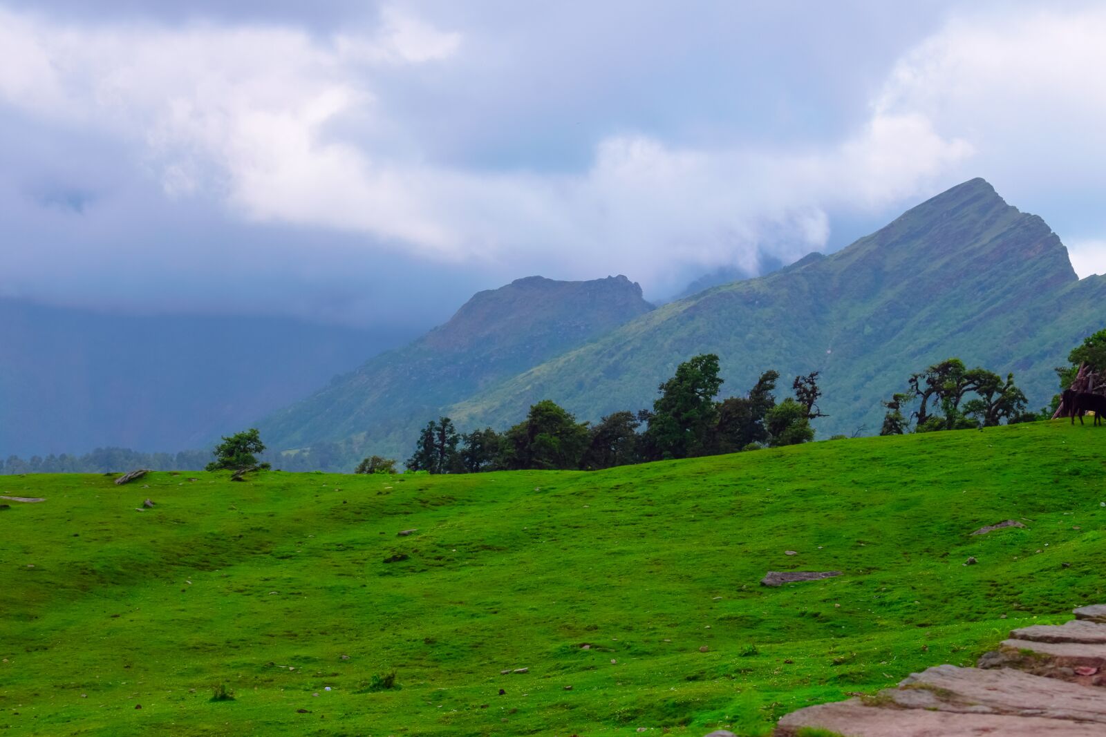 Nikon D3300 sample photo. Nature, landscape, background photography