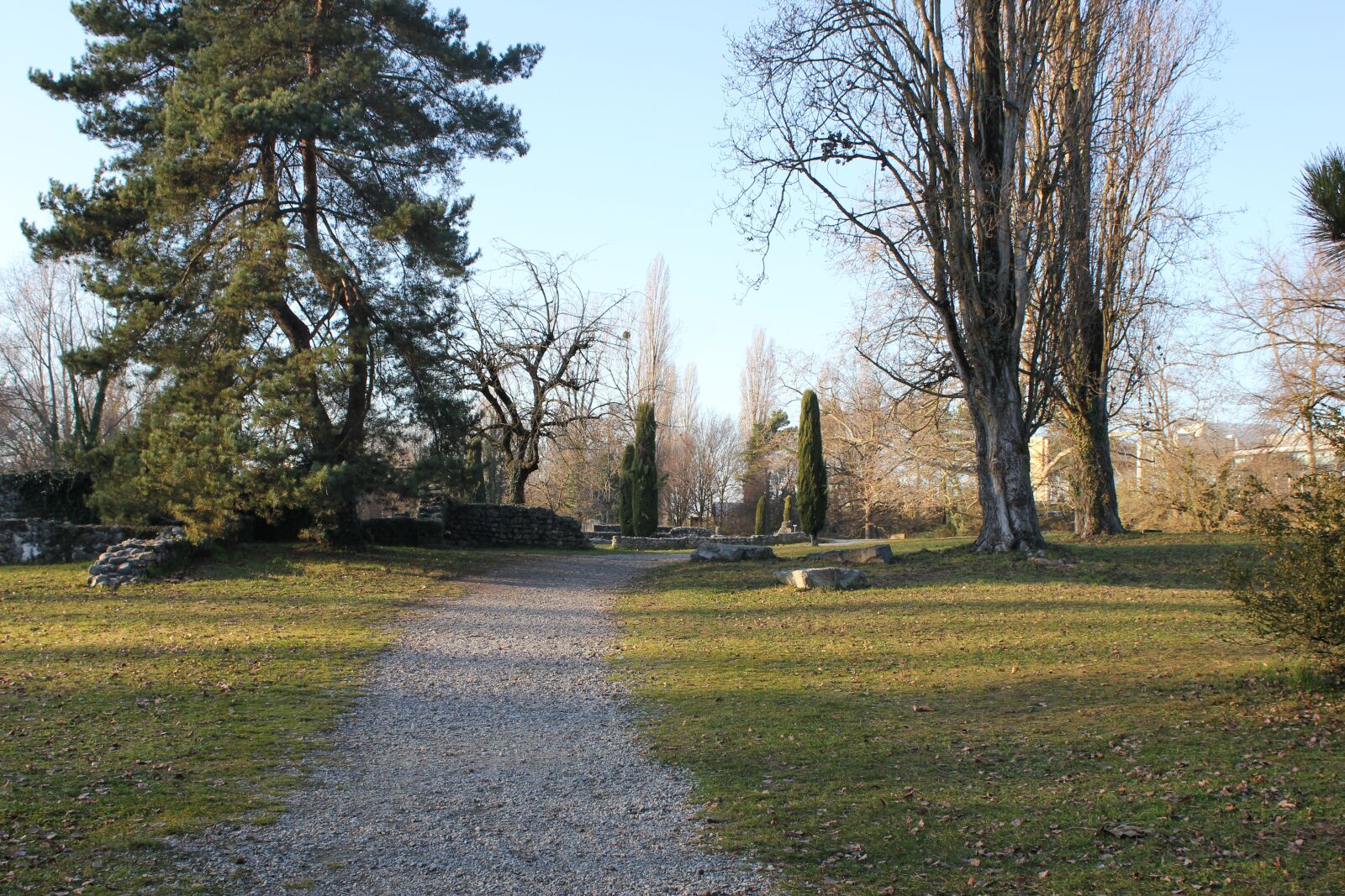 Canon EOS 550D (EOS Rebel T2i / EOS Kiss X4) sample photo. Lausanne, vaud, switzerland photography