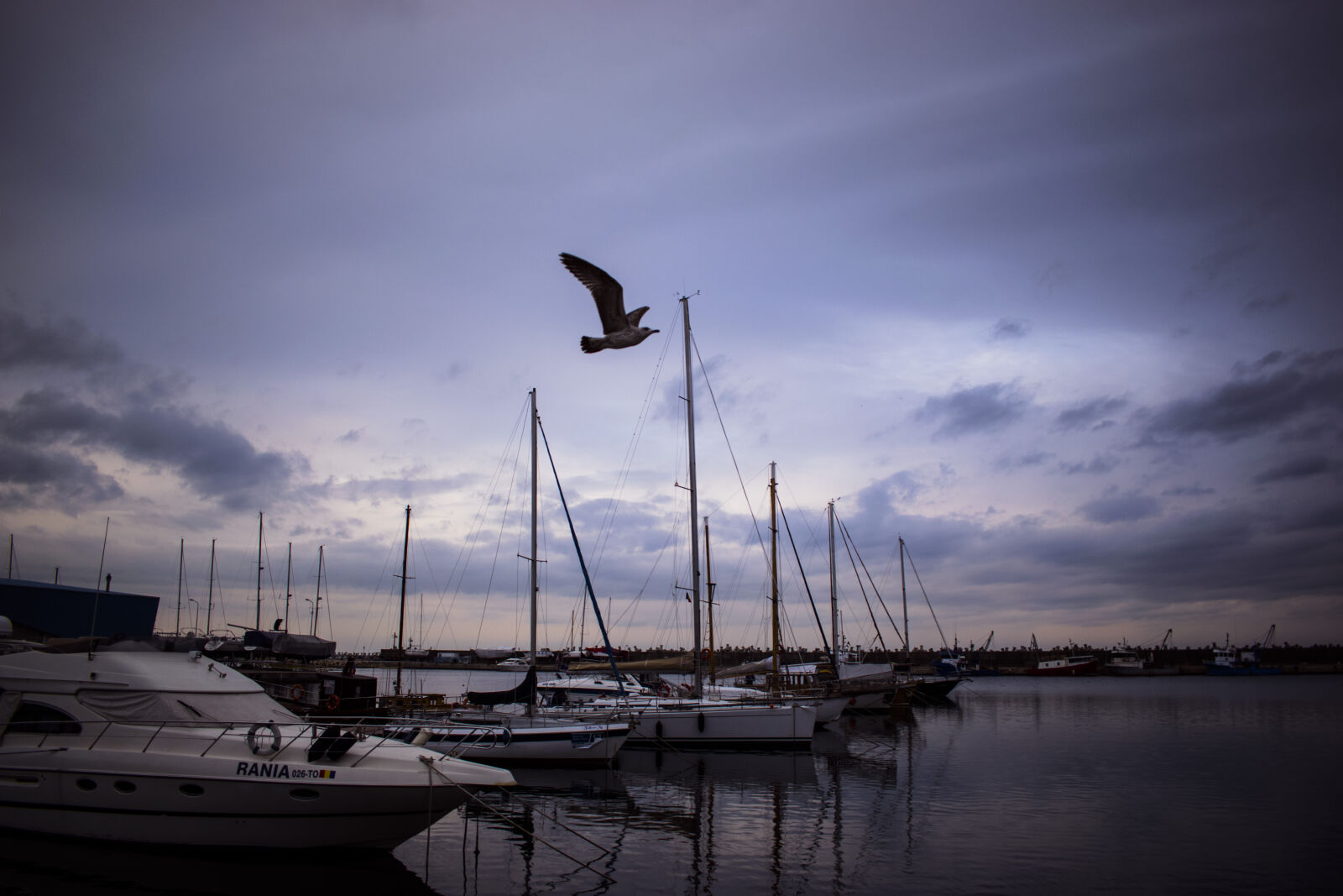Nikon D3300 sample photo